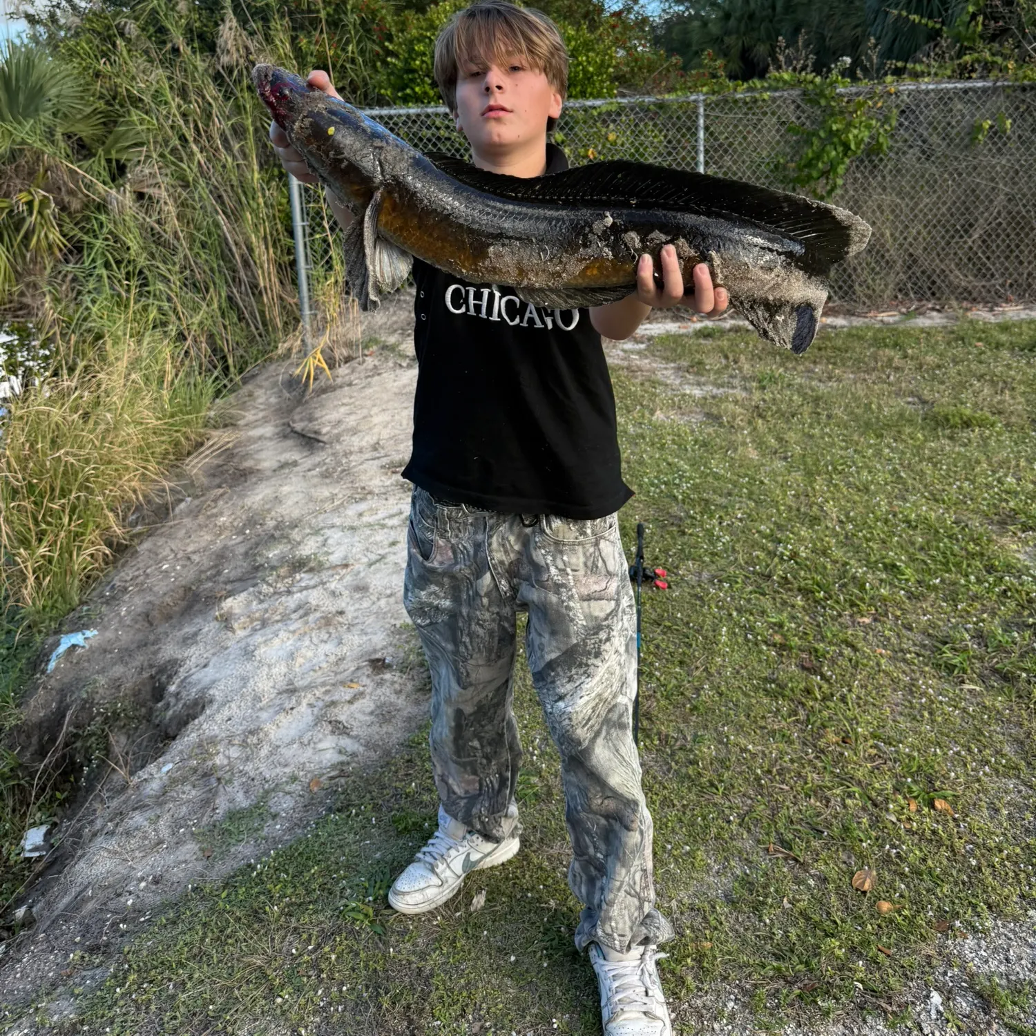 The most recent Bullseye snakehead catches on Fishbrain