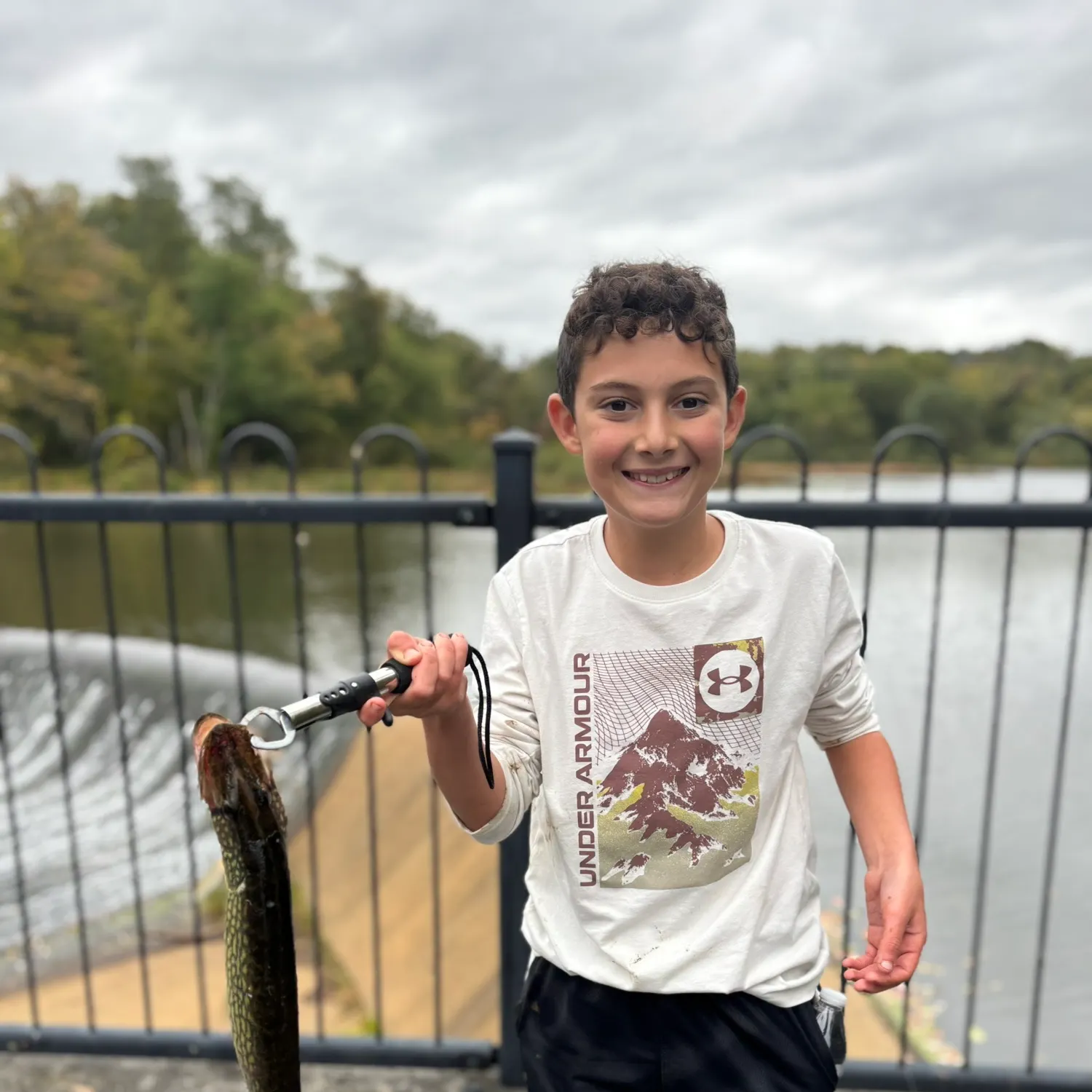 The most recent Grass pickerel catches on Fishbrain