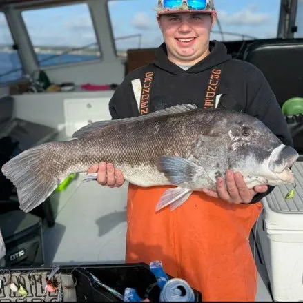 Tautog caught on Fishbrain