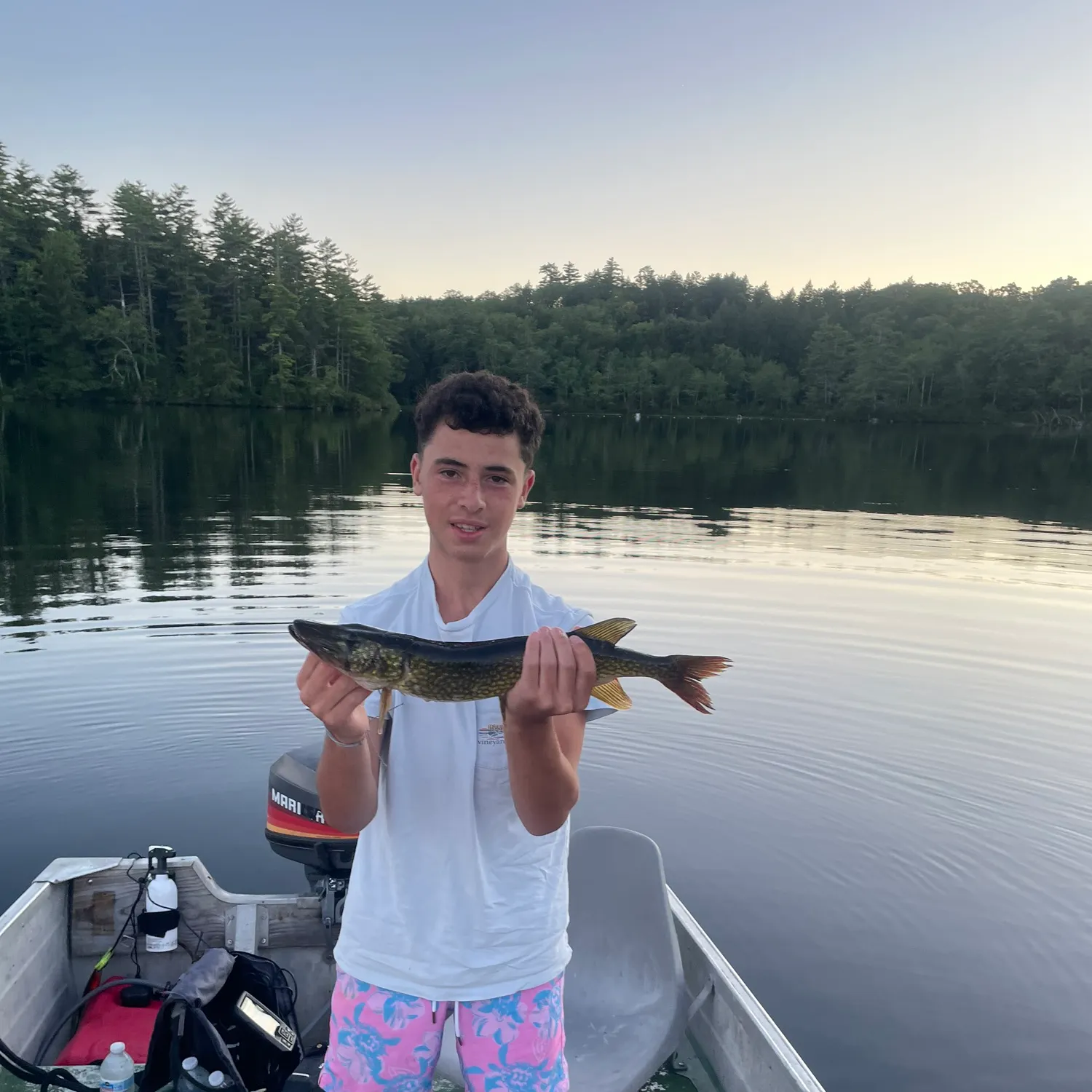 Chain pickerel caught on Fishbrain