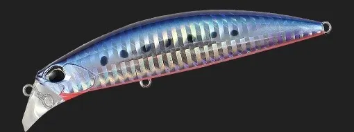 Beach Walker Fulcrum