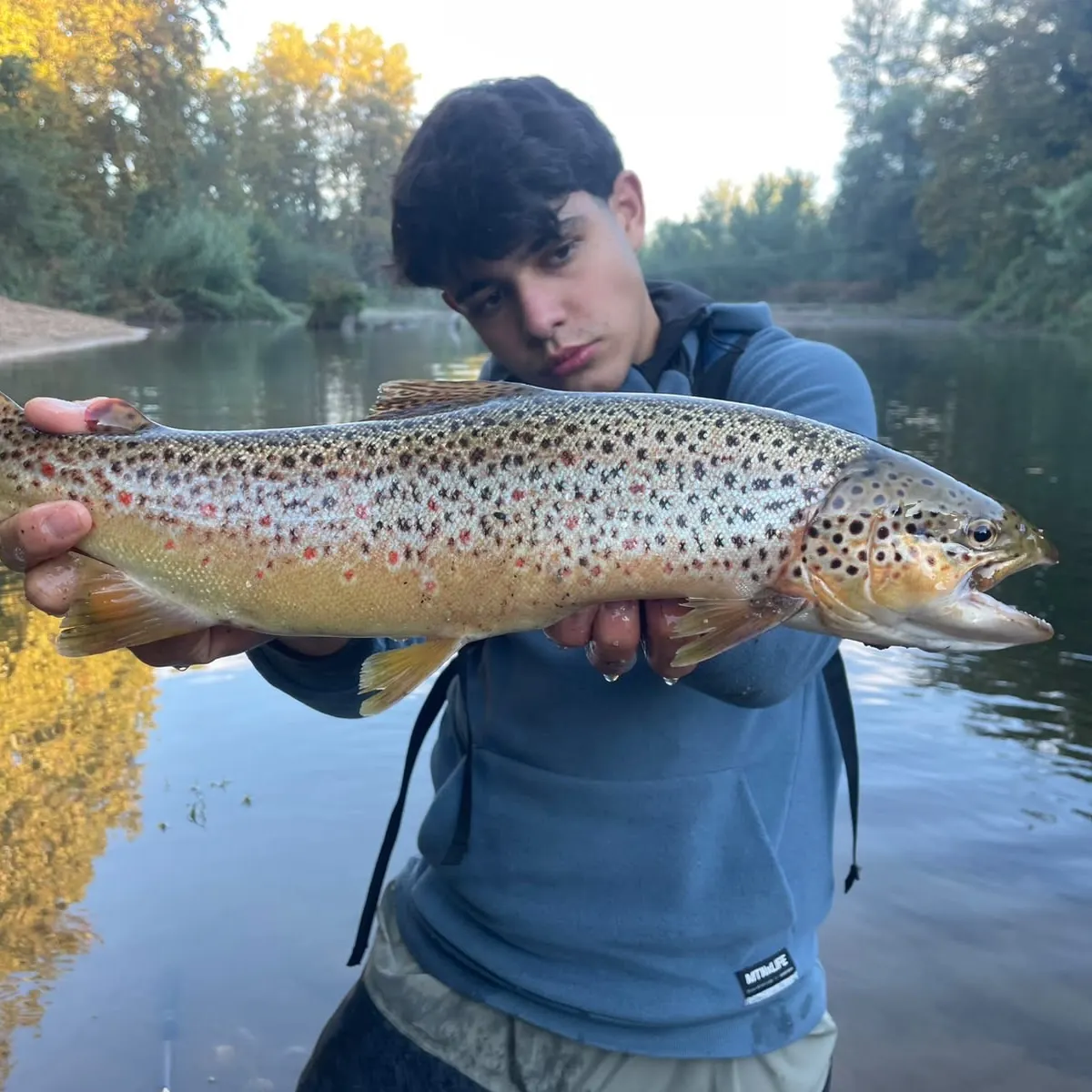 Brown trout caught on Fishbrain