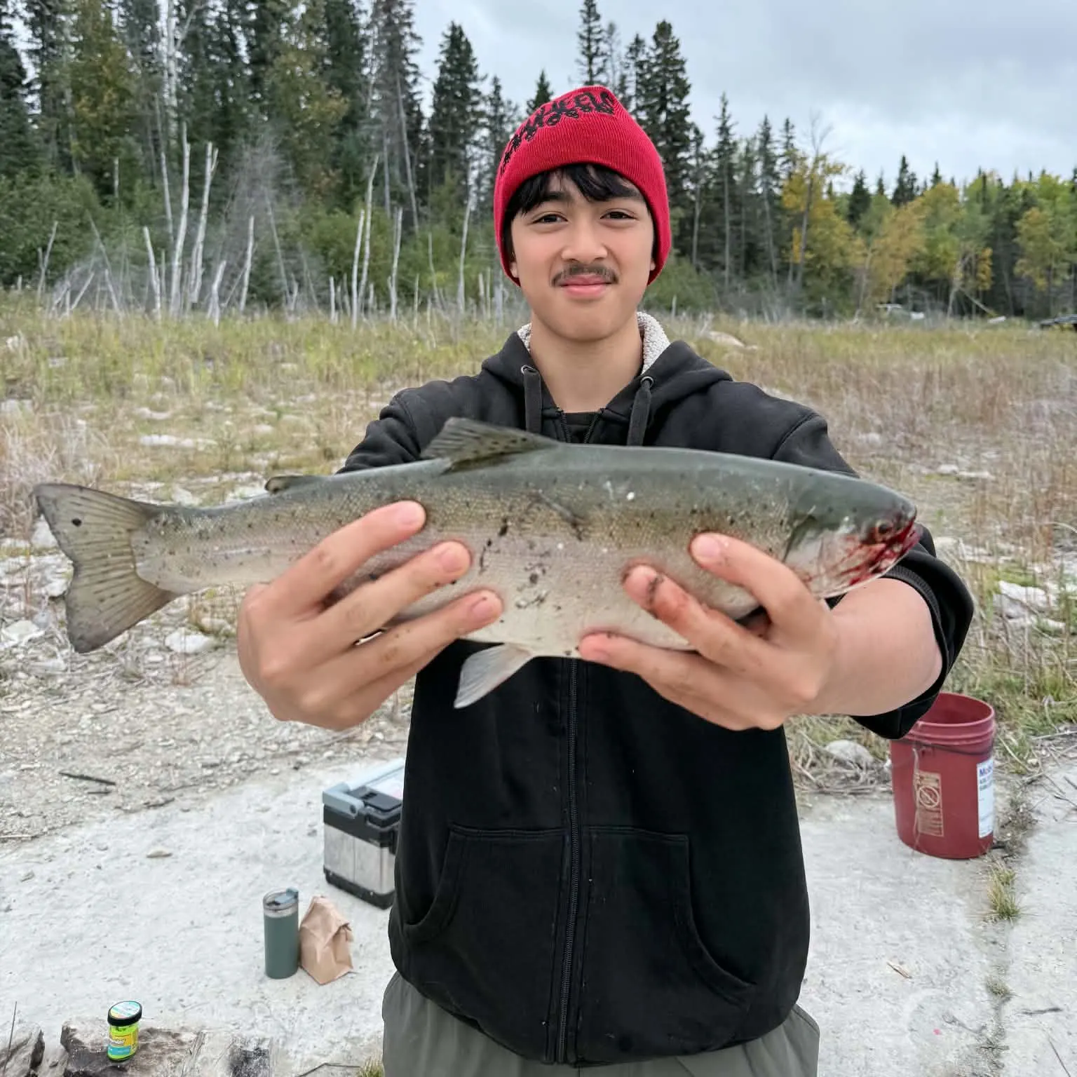 Rainbow trout caught on Fishbrain
