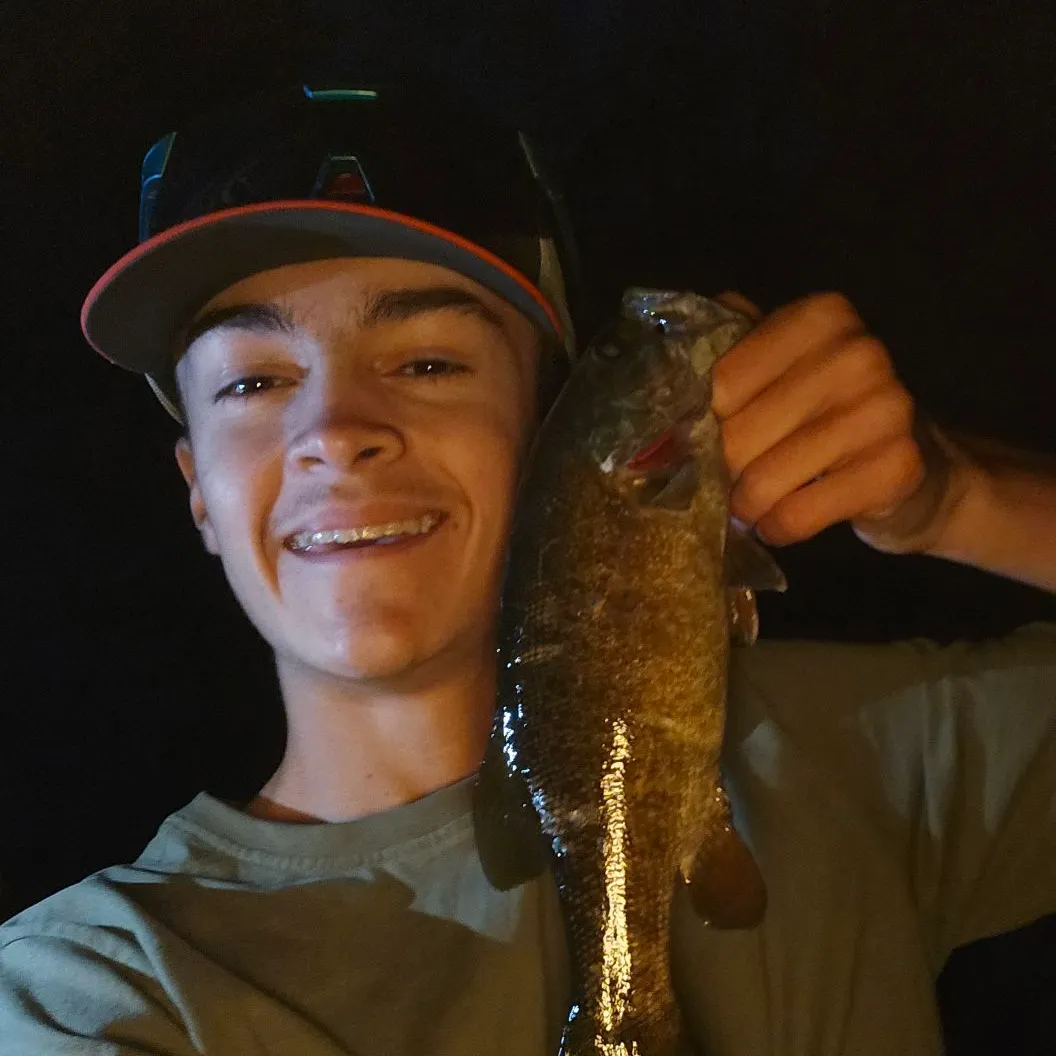 Smallmouth bass caught on Fishbrain