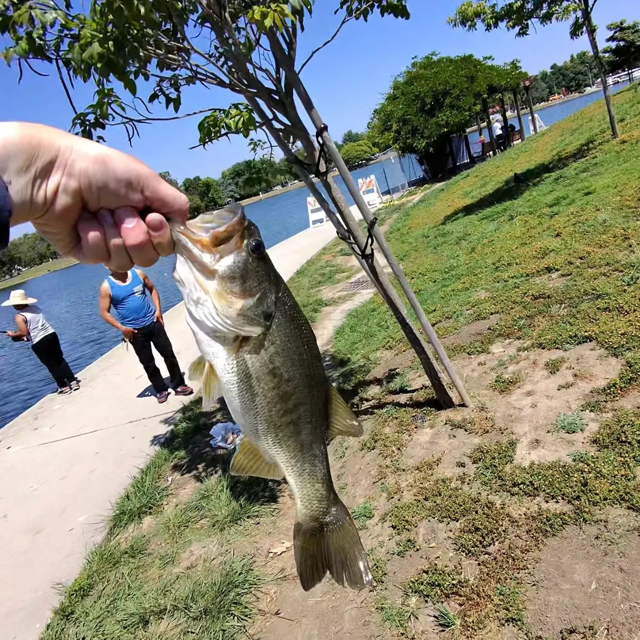 catch