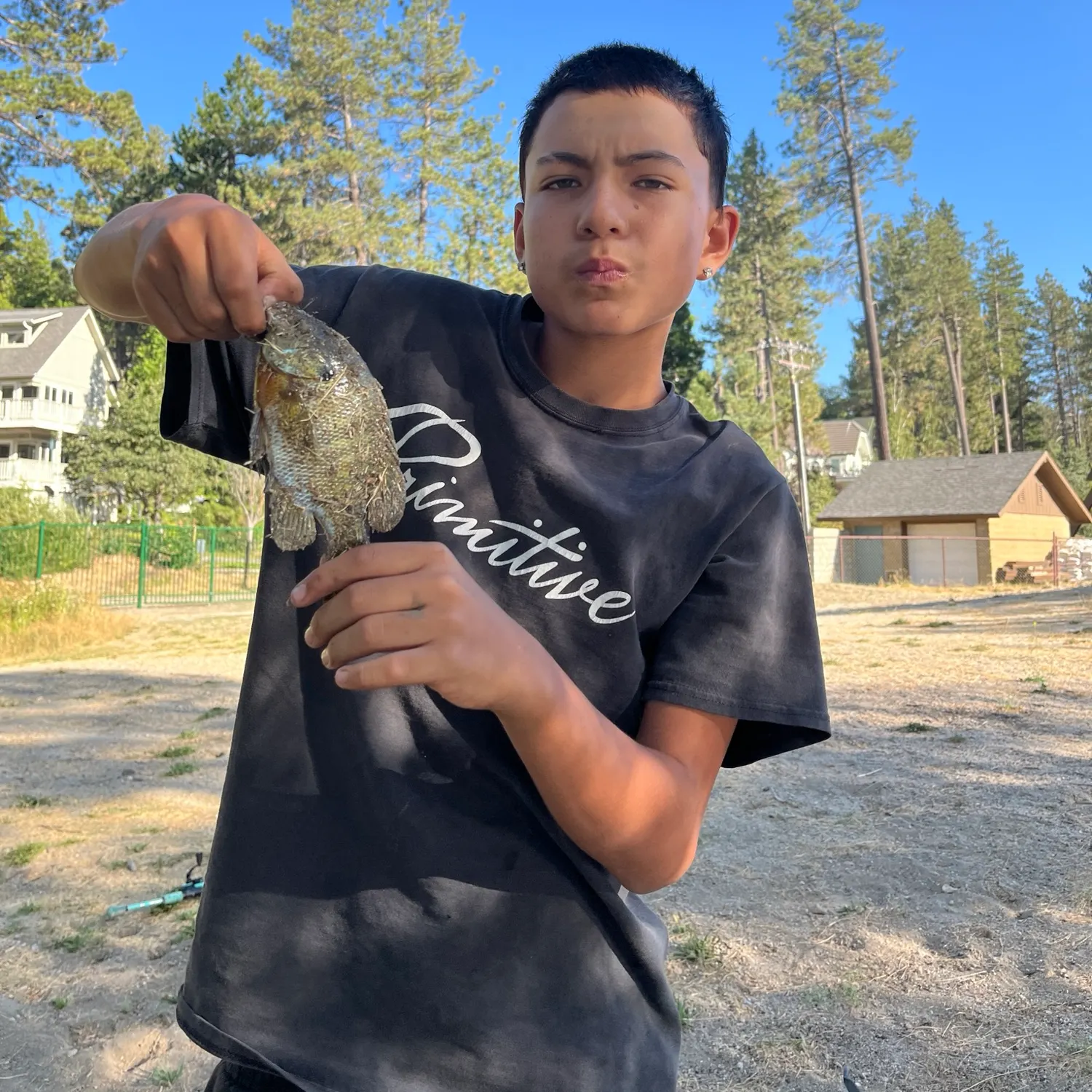 Bluegill caught on Fishbrain