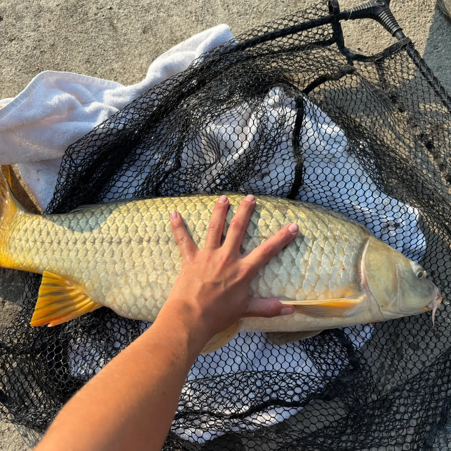 catch