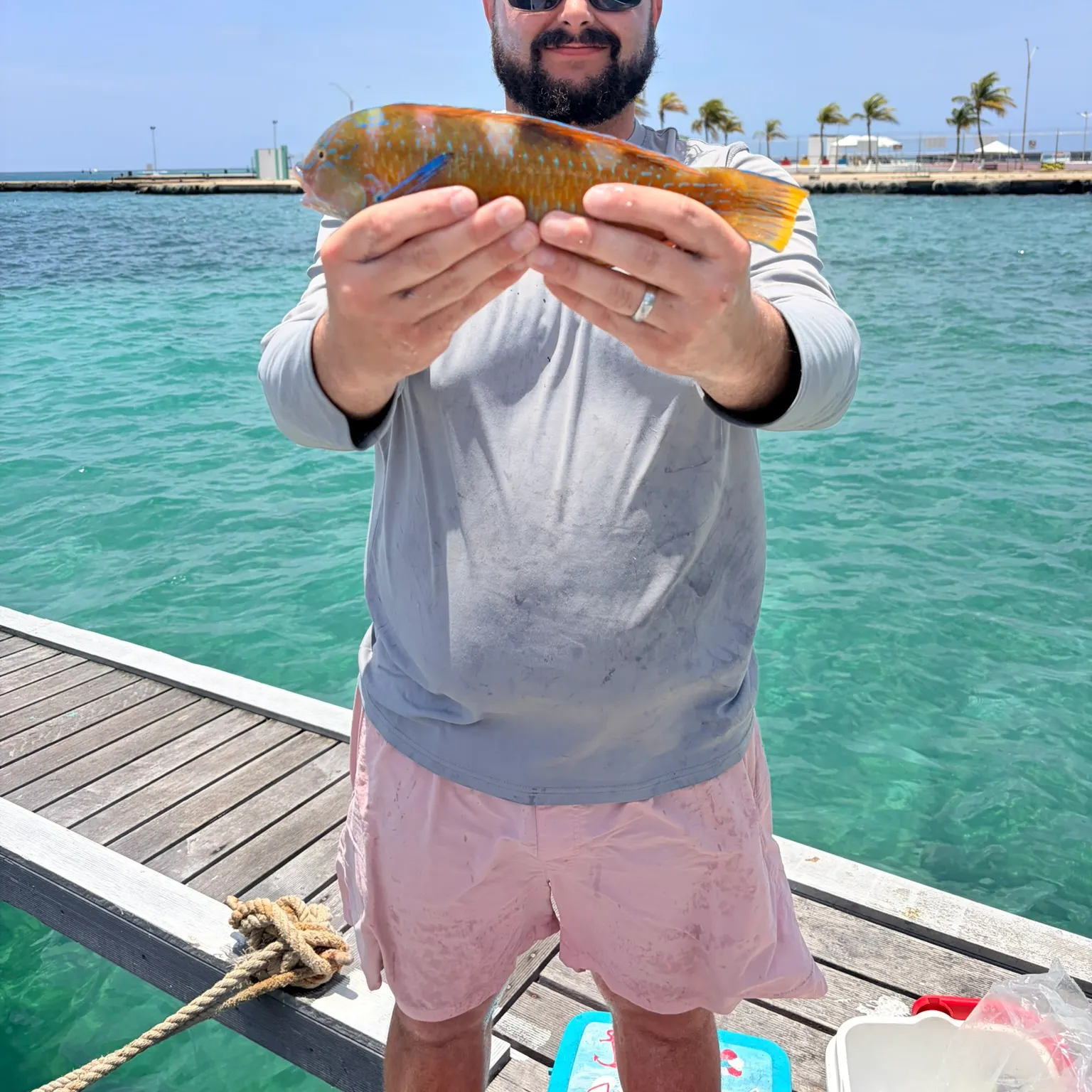 The most recent Stoplight parrotfish catches on Fishbrain