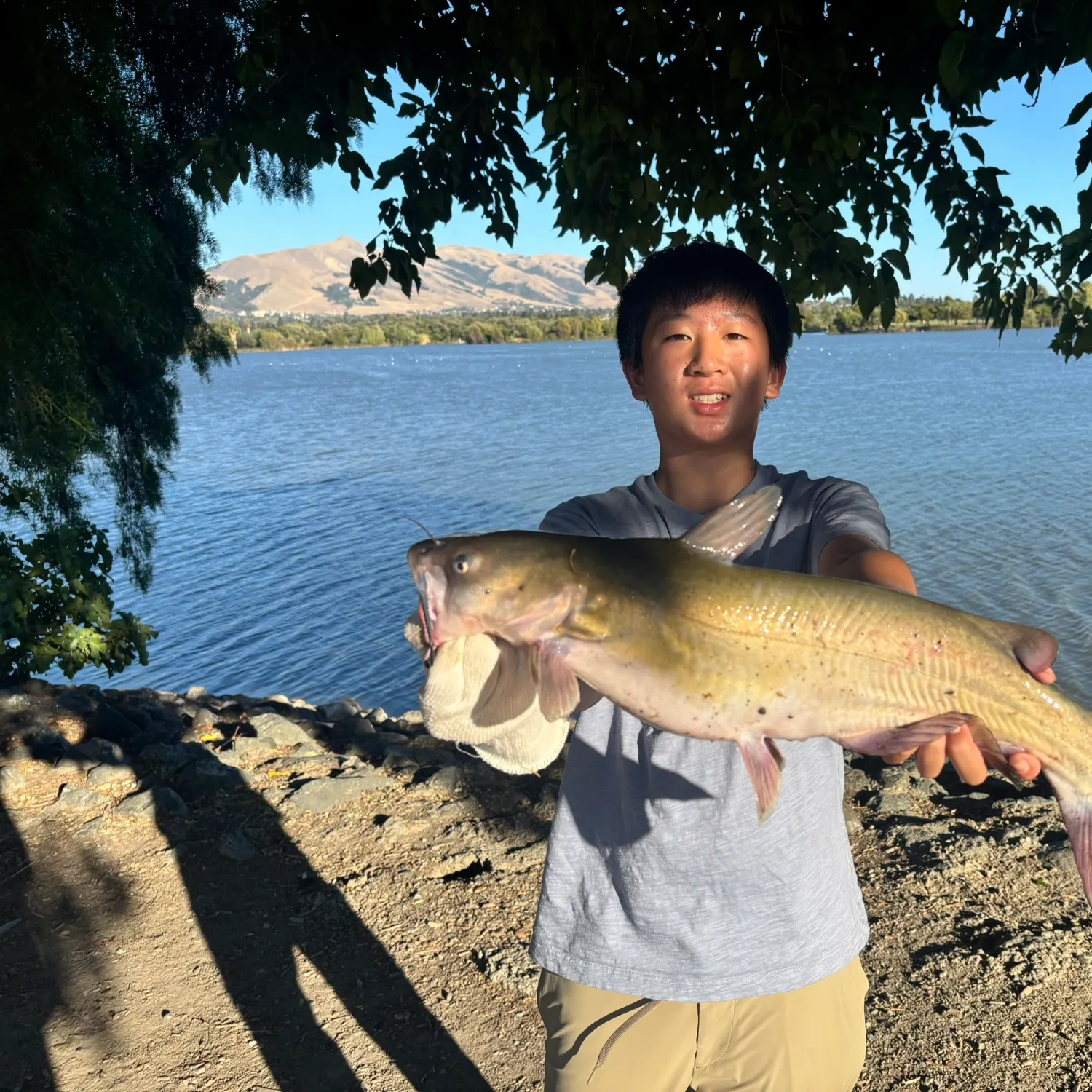 catch