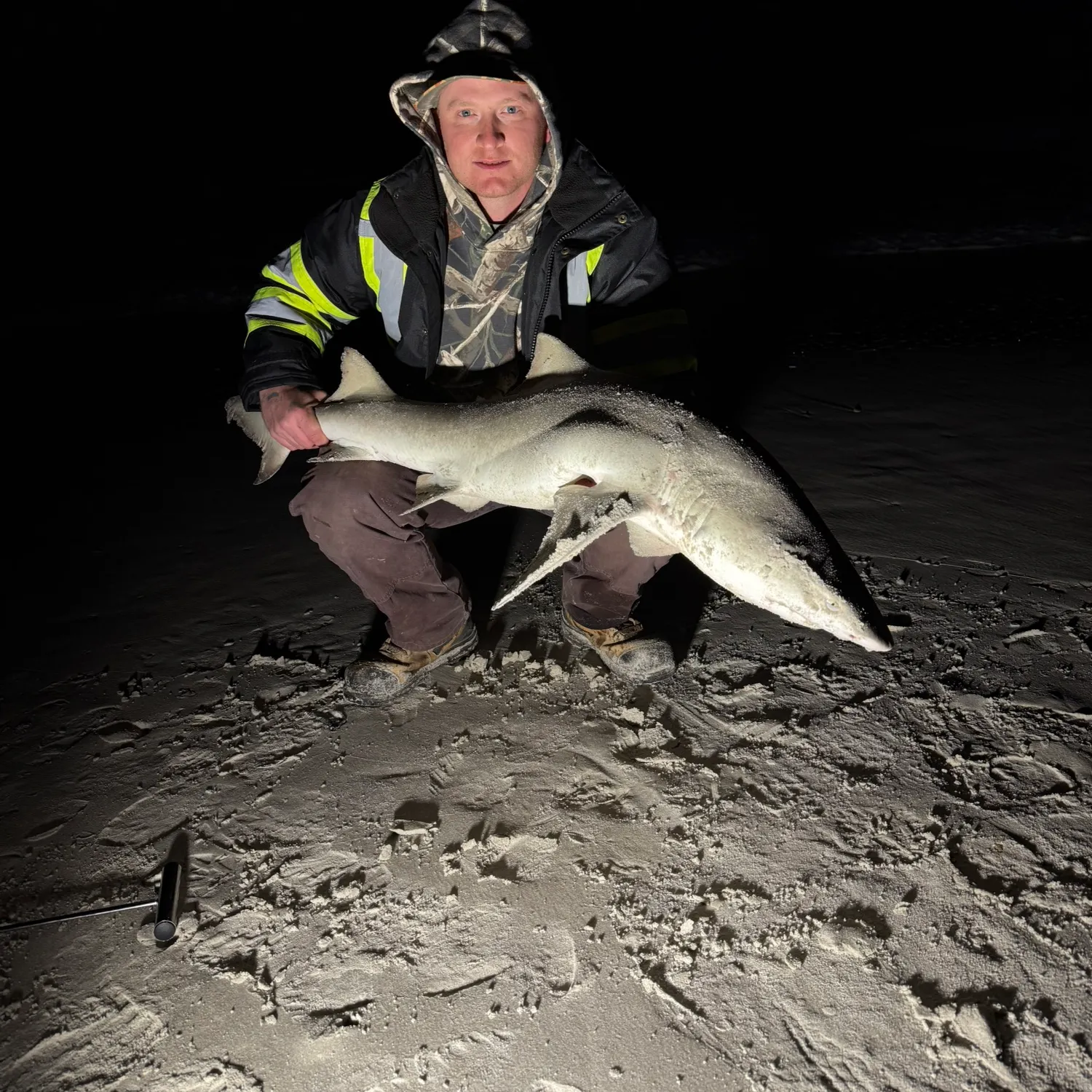 The most recent Lemon shark catches on Fishbrain