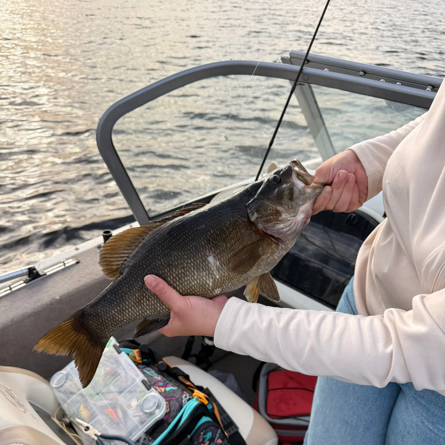 Smallmouth bass caught on Fishbrain