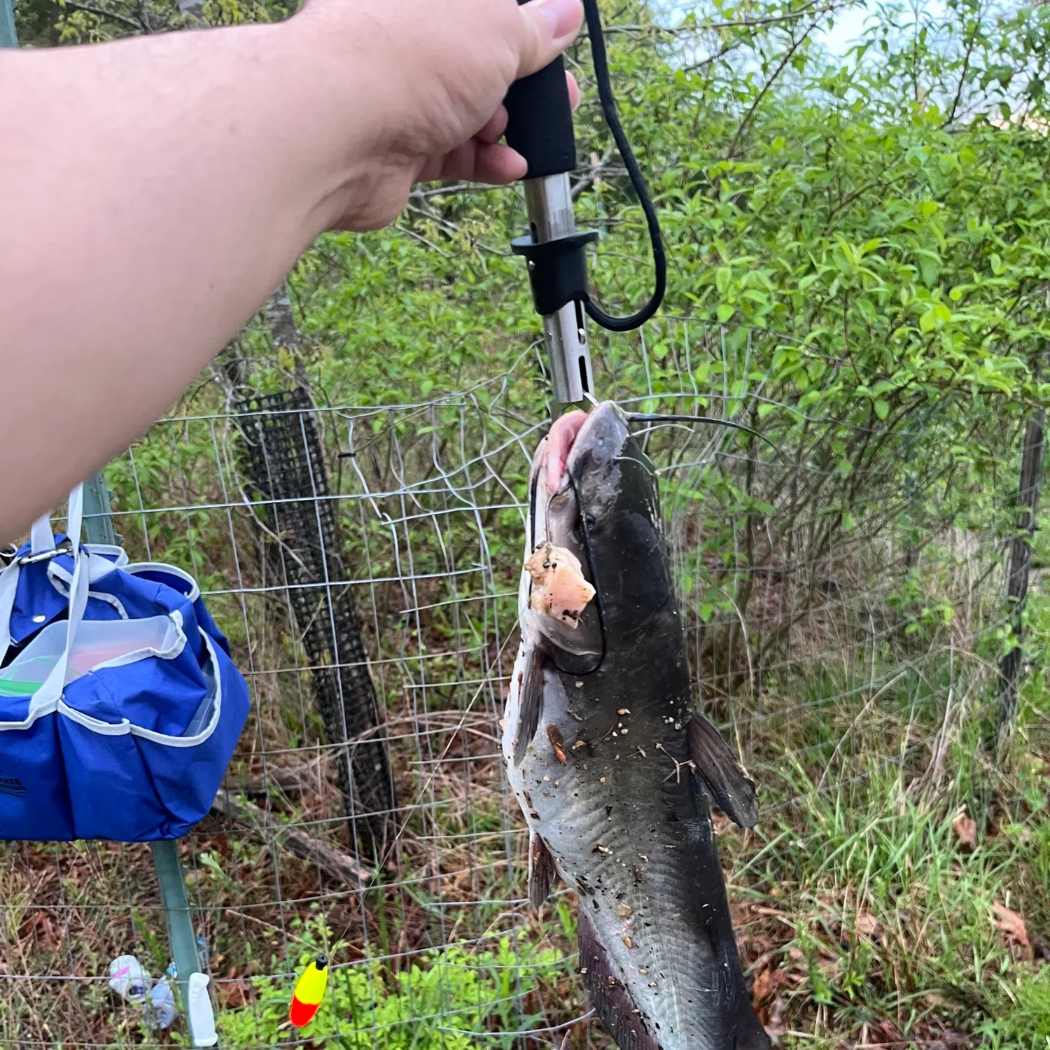 catch