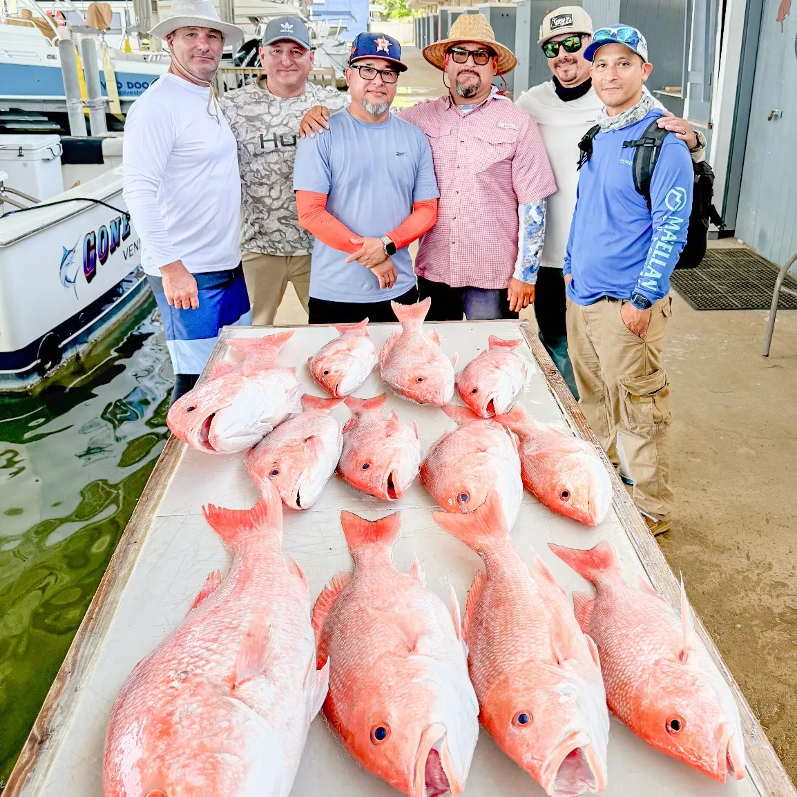 recently logged catches