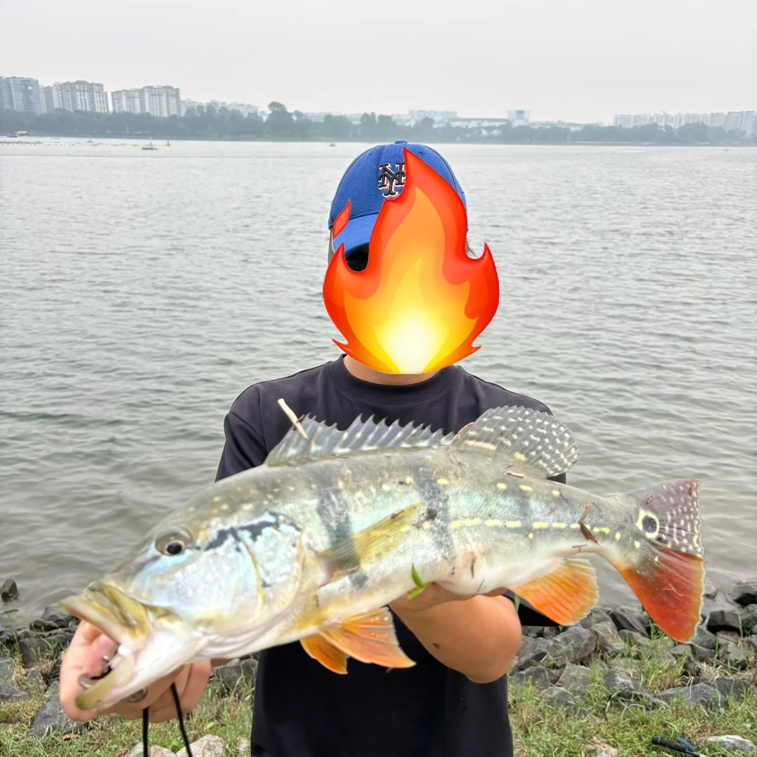 Speckled peacock bass caught on Fishbrain