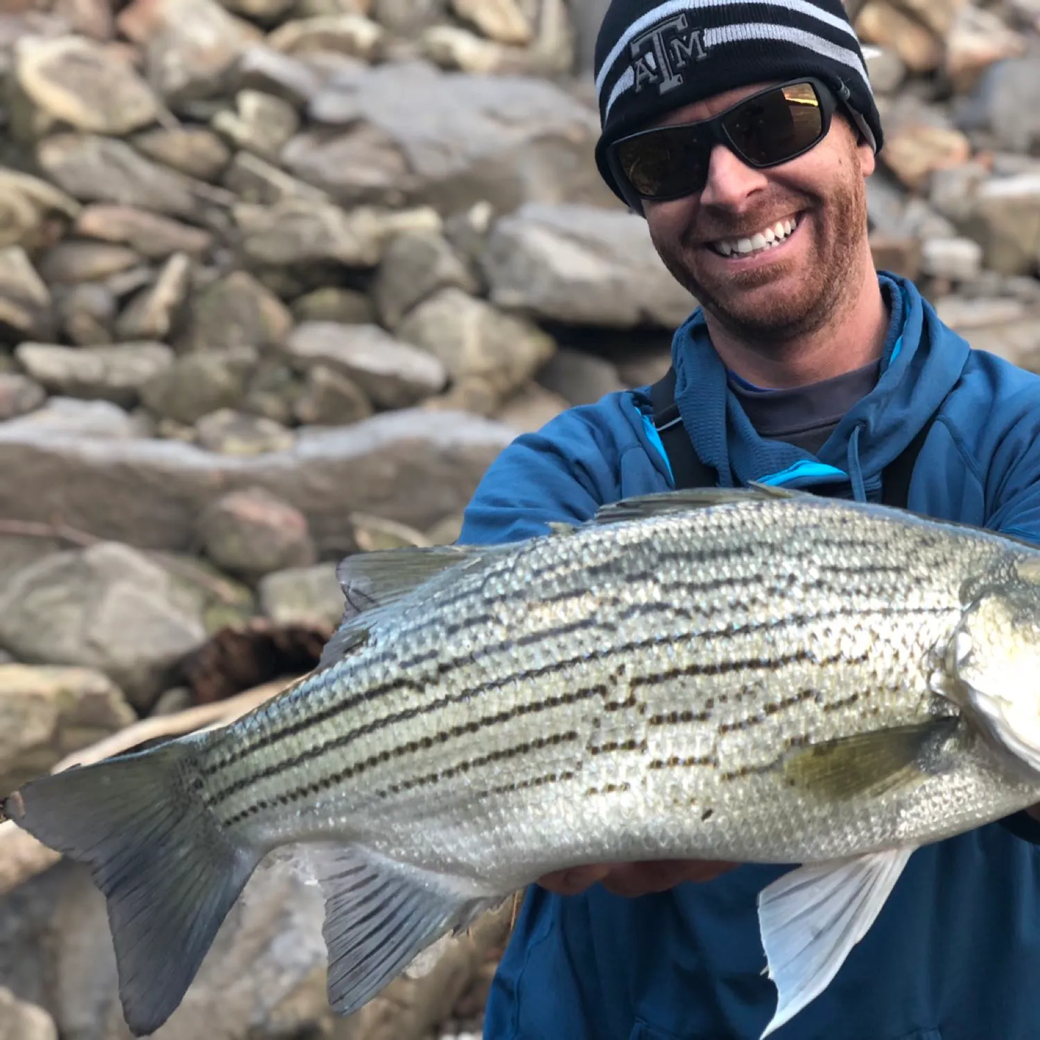 The most popular recent Hybrid striped bass catch on Fishbrain