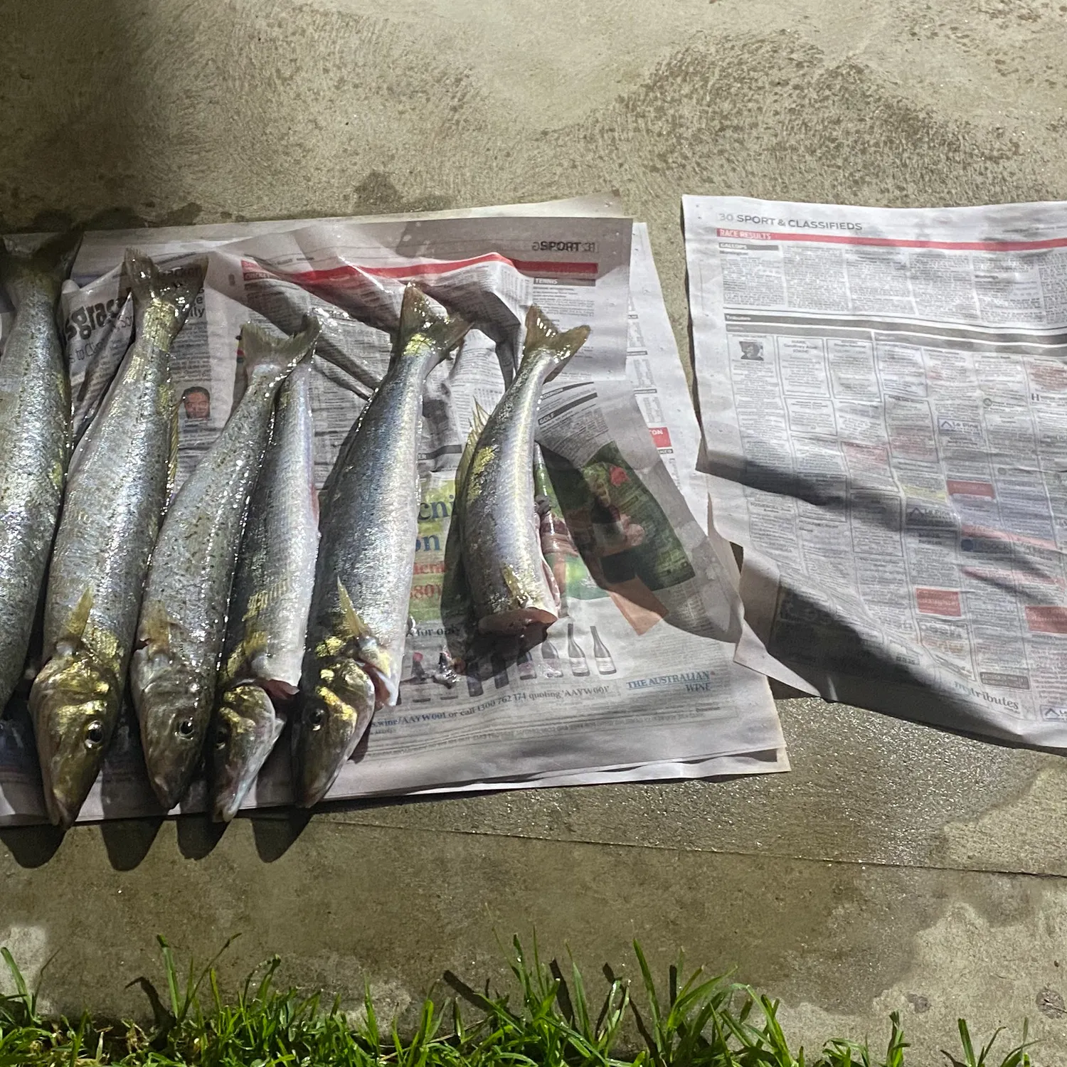 recently logged catches
