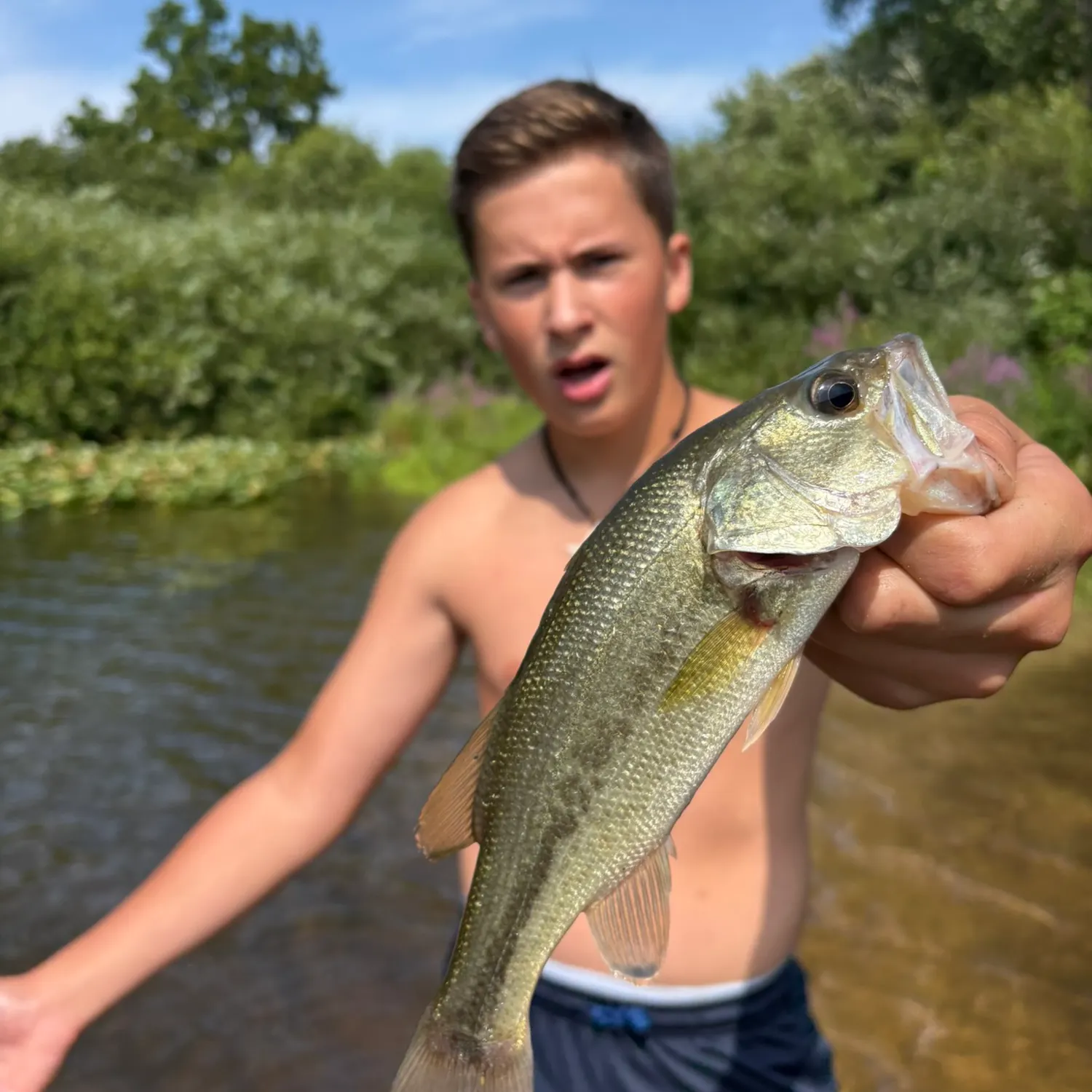 Largemouth bass caught on Fishbrain