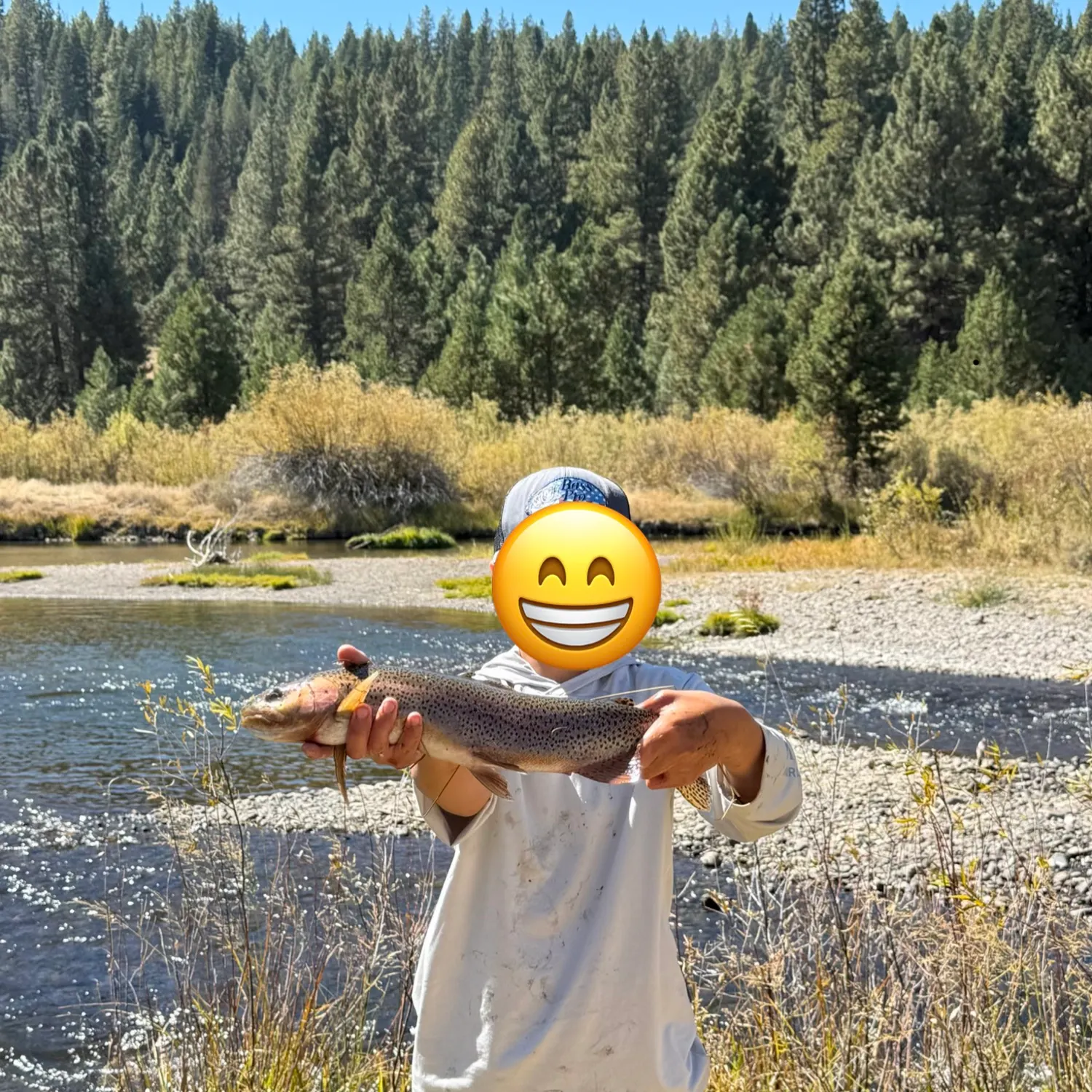Rainbow trout caught on Fishbrain