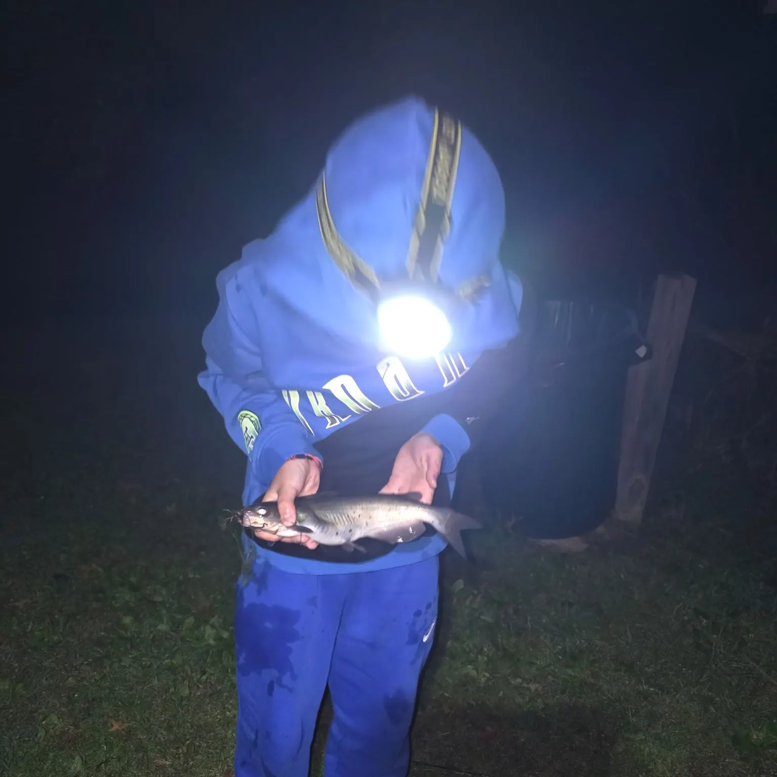 Channel catfish caught on Fishbrain