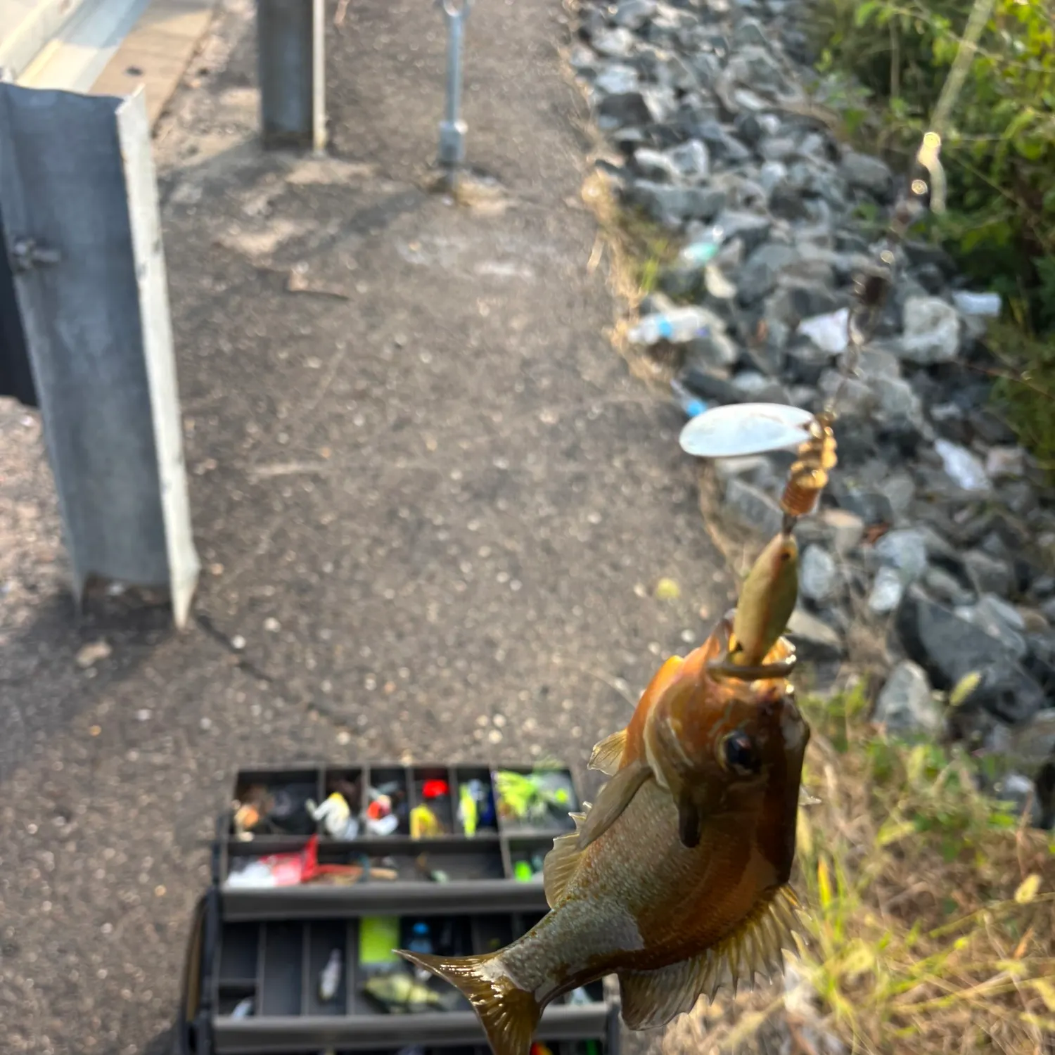 catch