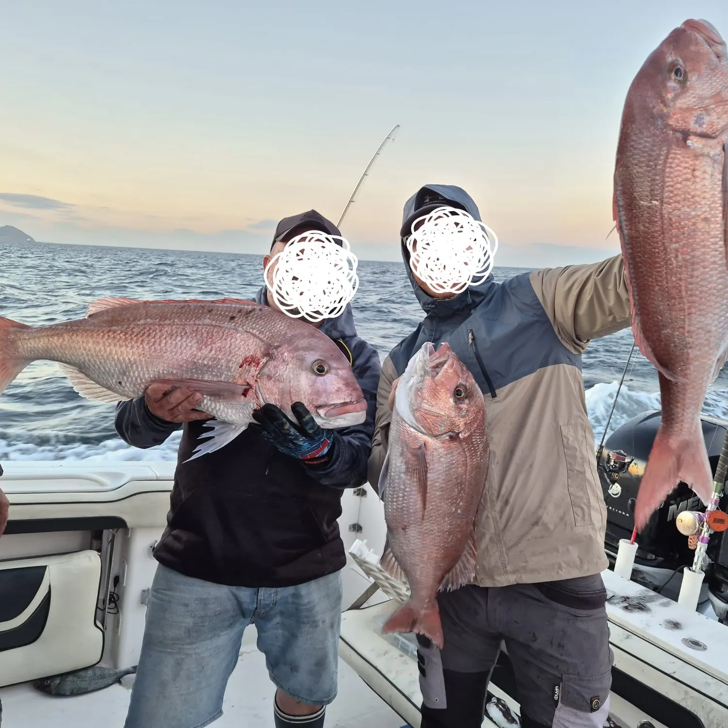 The most recent Common seabream catches on Fishbrain