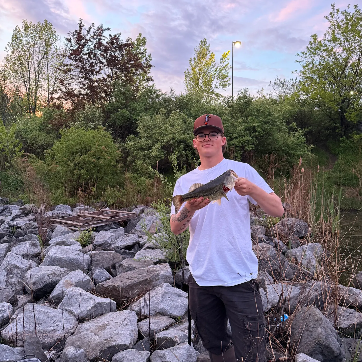recently logged catches