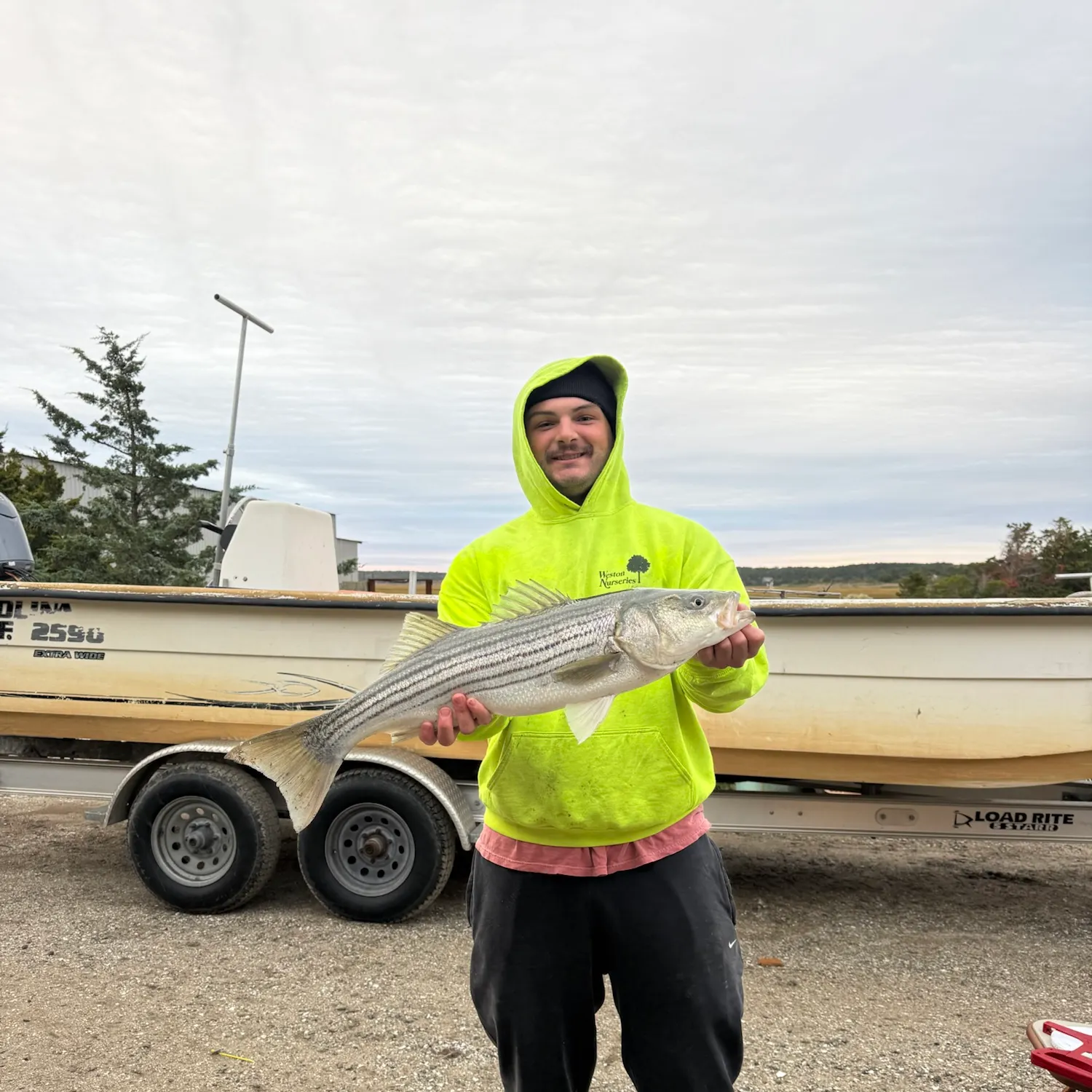 Striped bass caught on Fishbrain