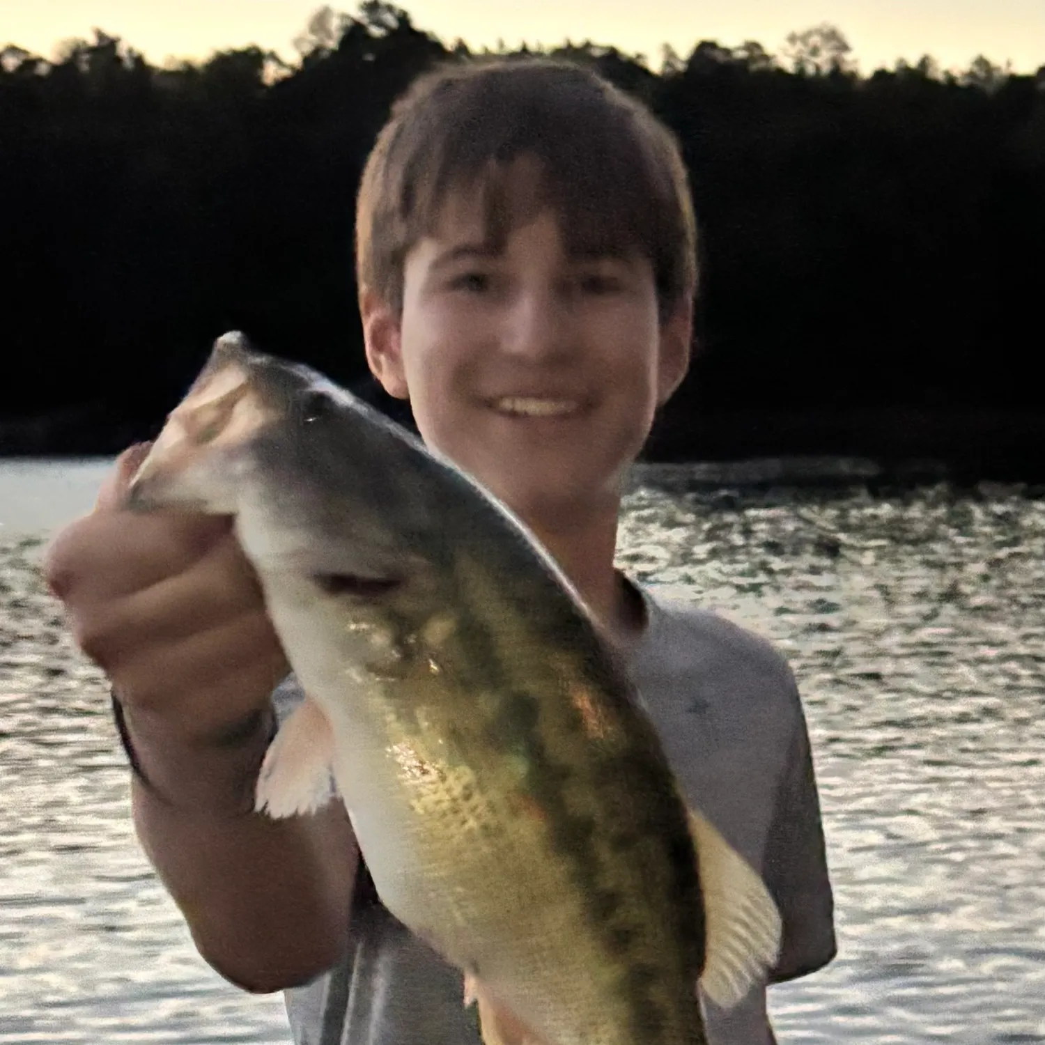 Spotted bass caught on Fishbrain