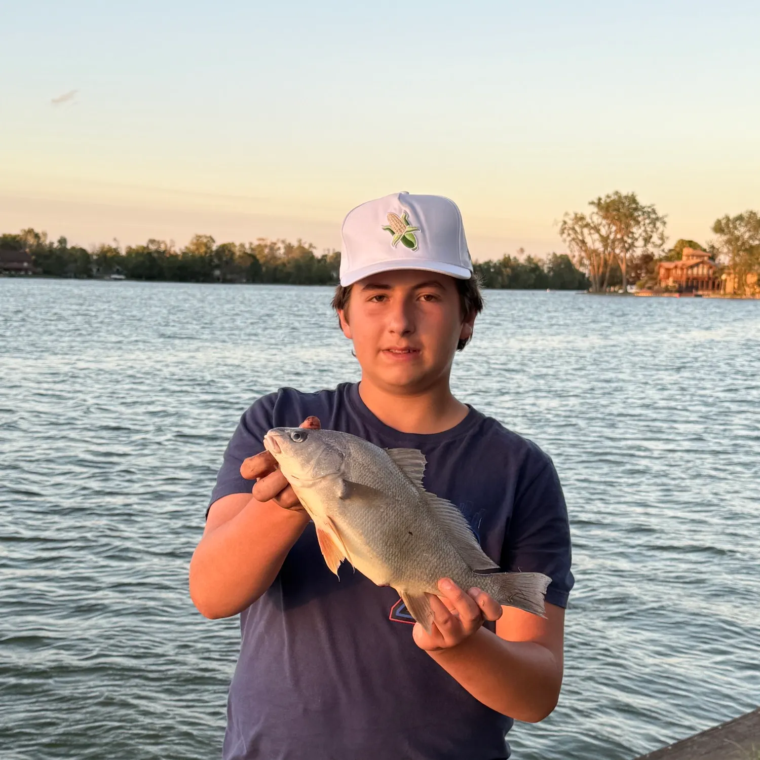 Freshwater drum caught on Fishbrain