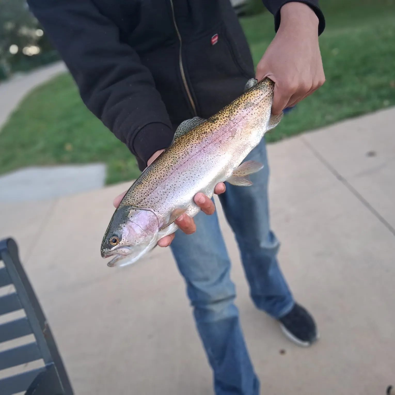Rainbow trout caught on Fishbrain