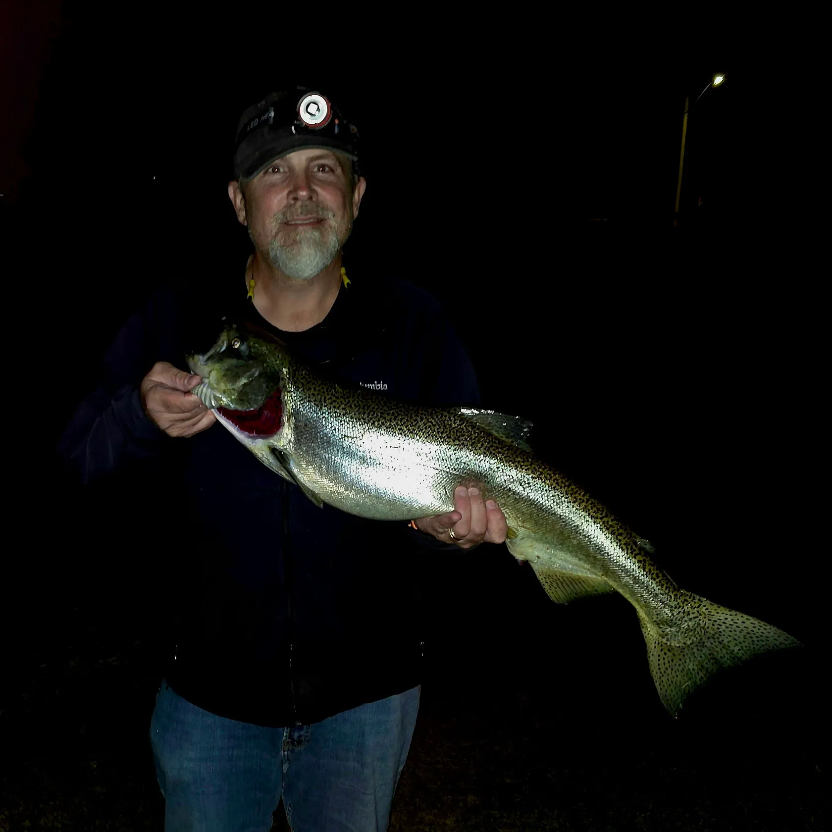 Chinook salmon caught on Fishbrain