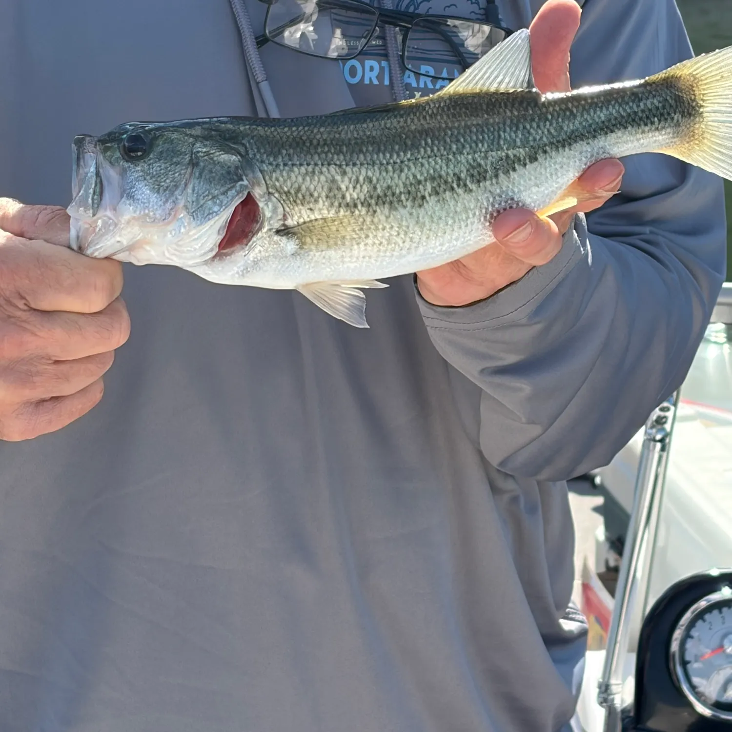 Spotted bass caught on Fishbrain