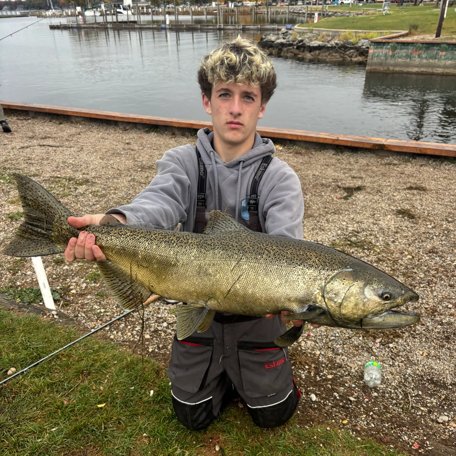 Chinook salmon caught on Fishbrain