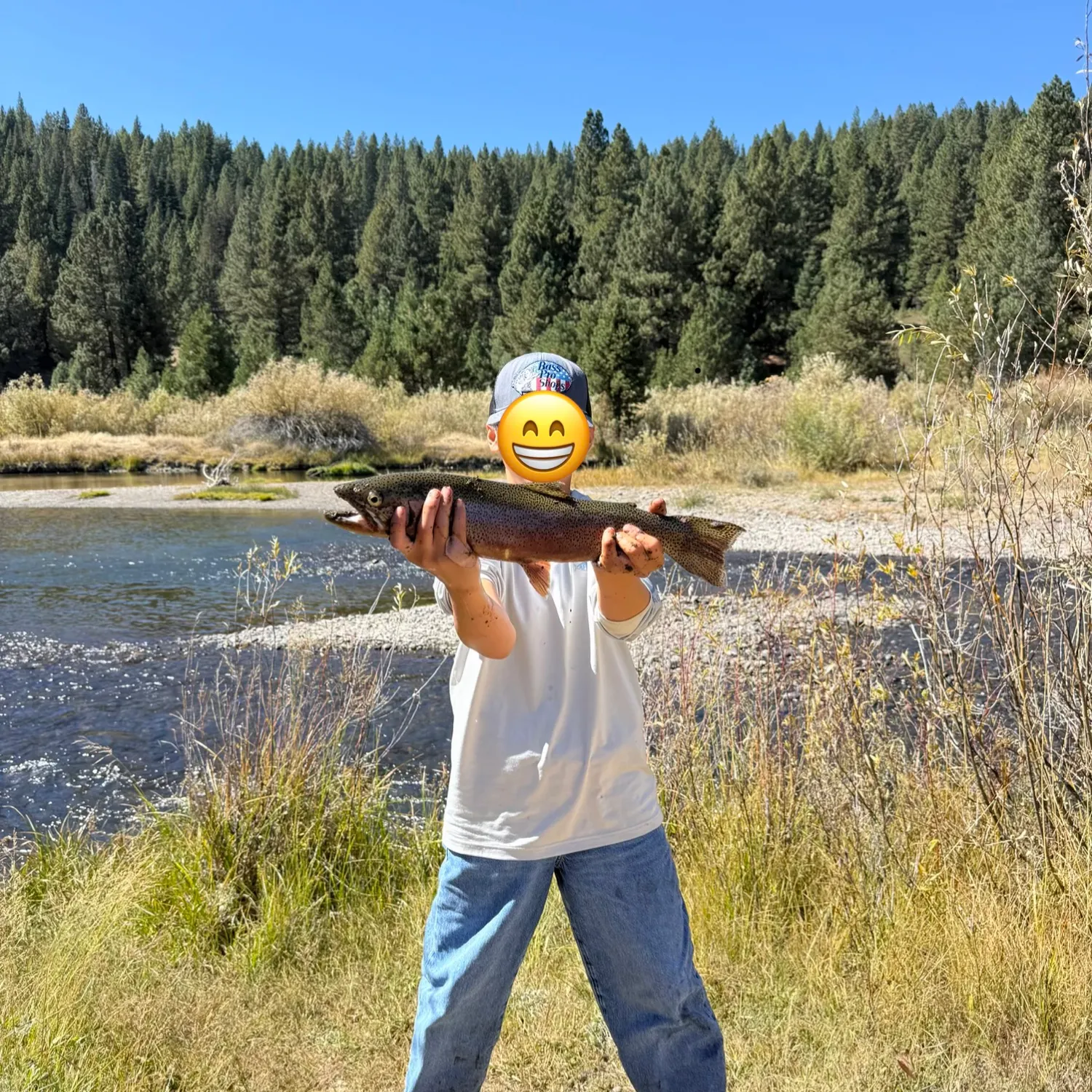 Rainbow trout caught on Fishbrain