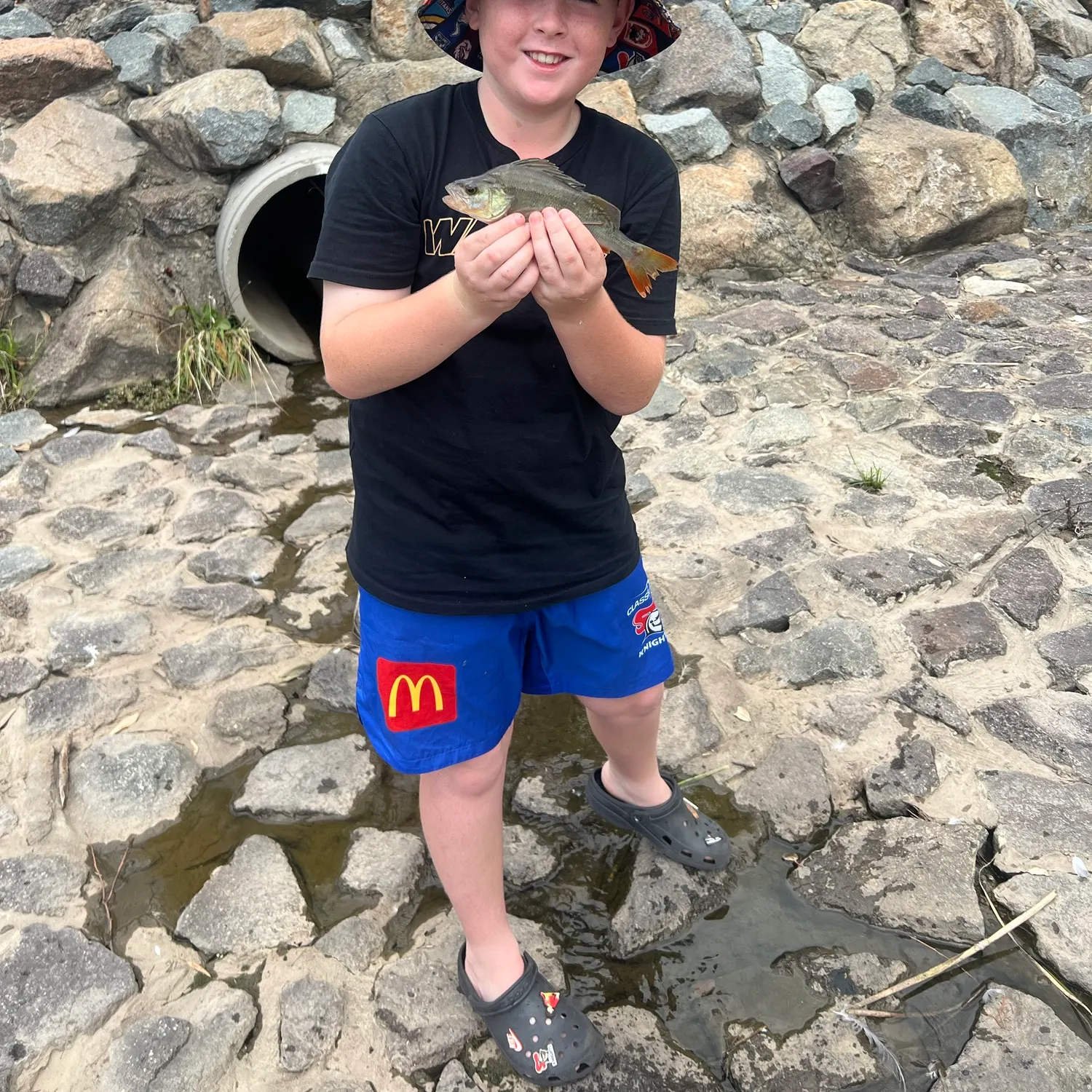 European perch caught on Fishbrain