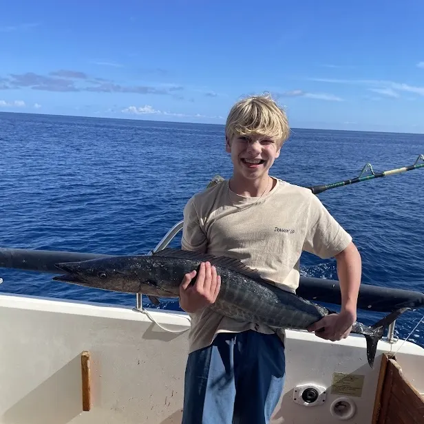 The most recent Wahoo catches on Fishbrain