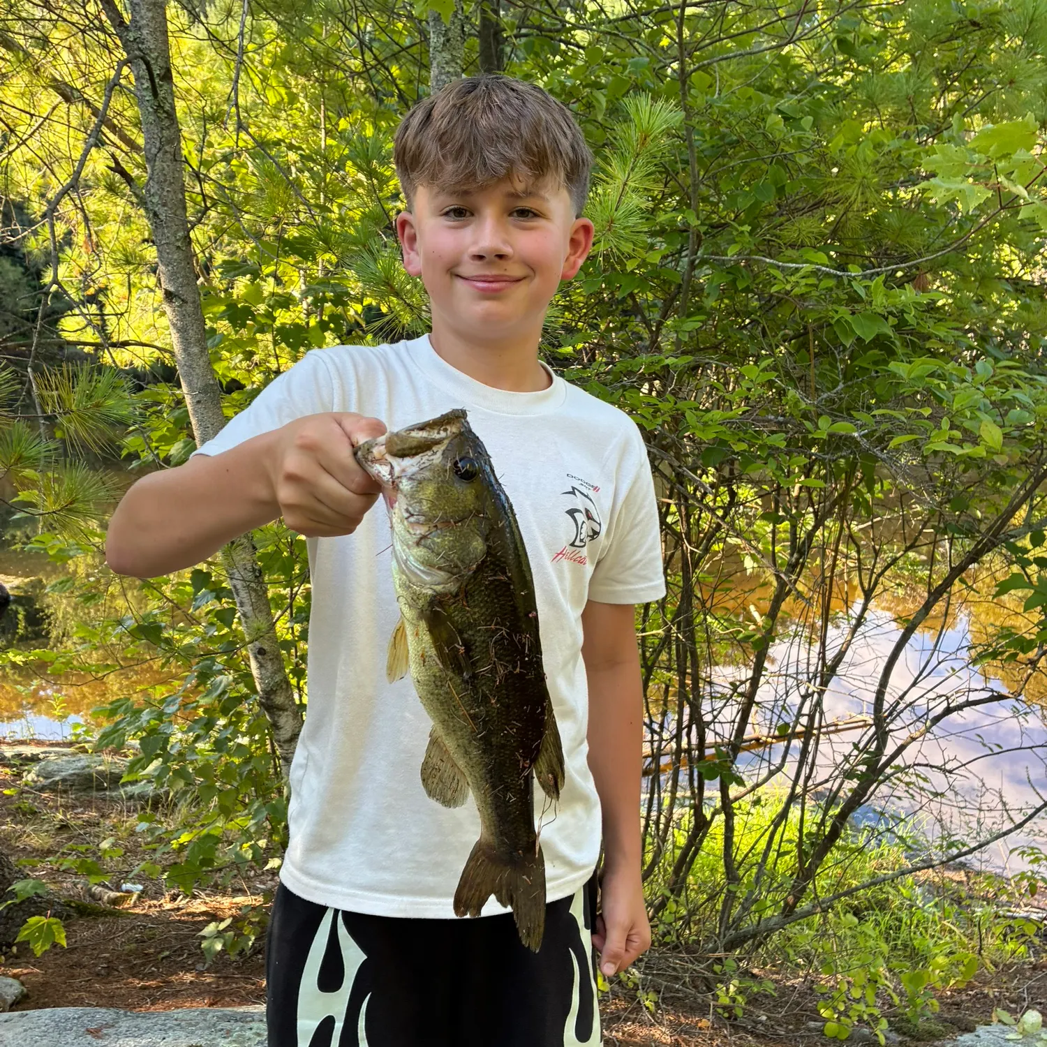 Largemouth bass caught on Fishbrain