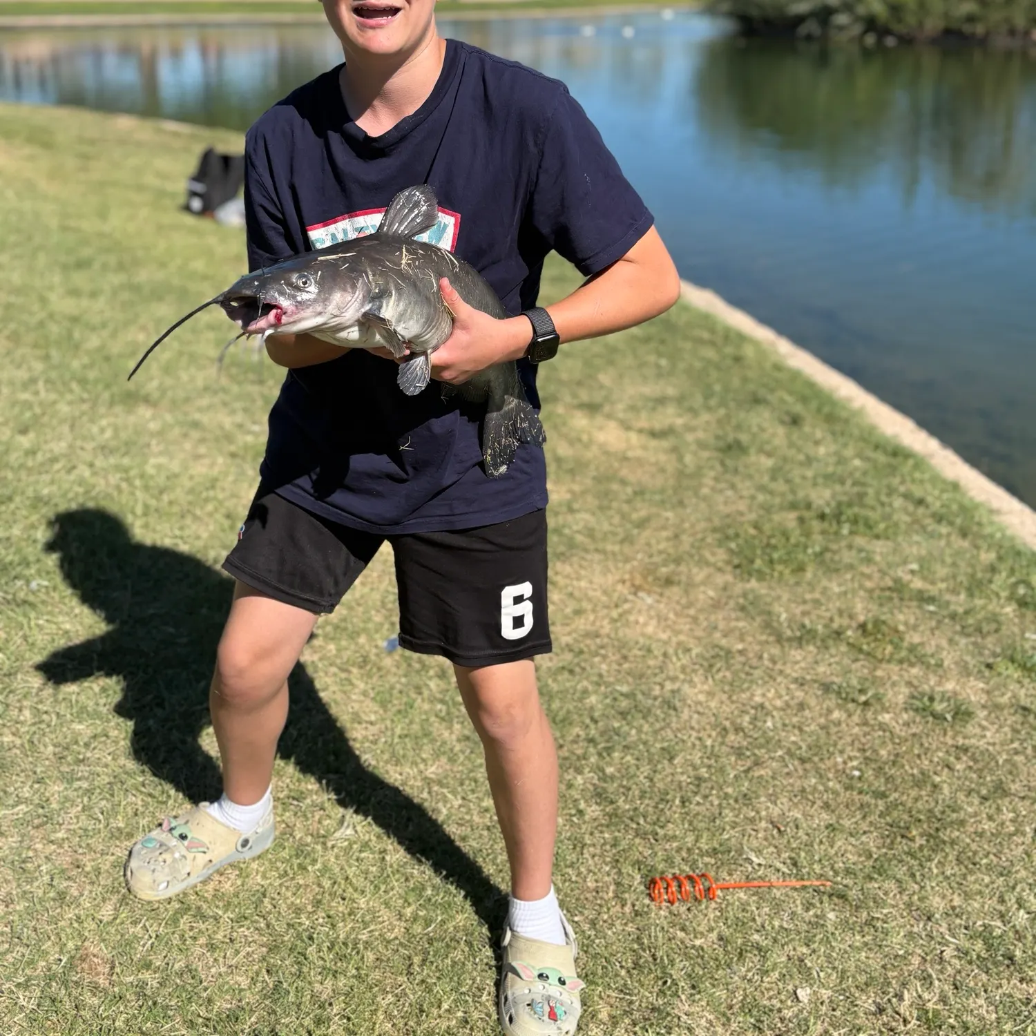 Black bullhead caught on Fishbrain