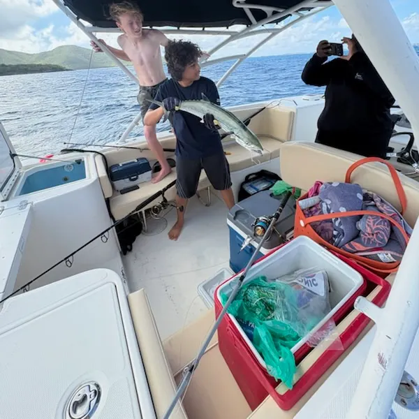 The most recent Cero mackerel catches on Fishbrain
