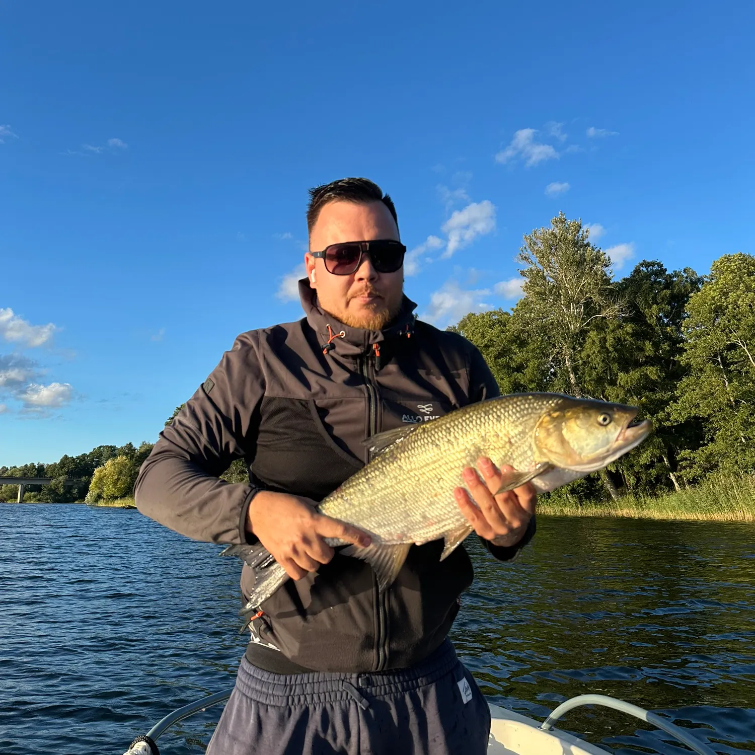 Asp caught on Fishbrain