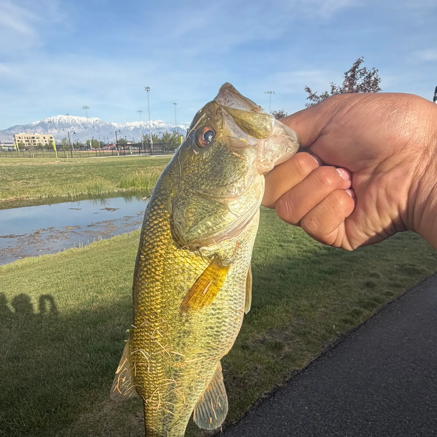 catch