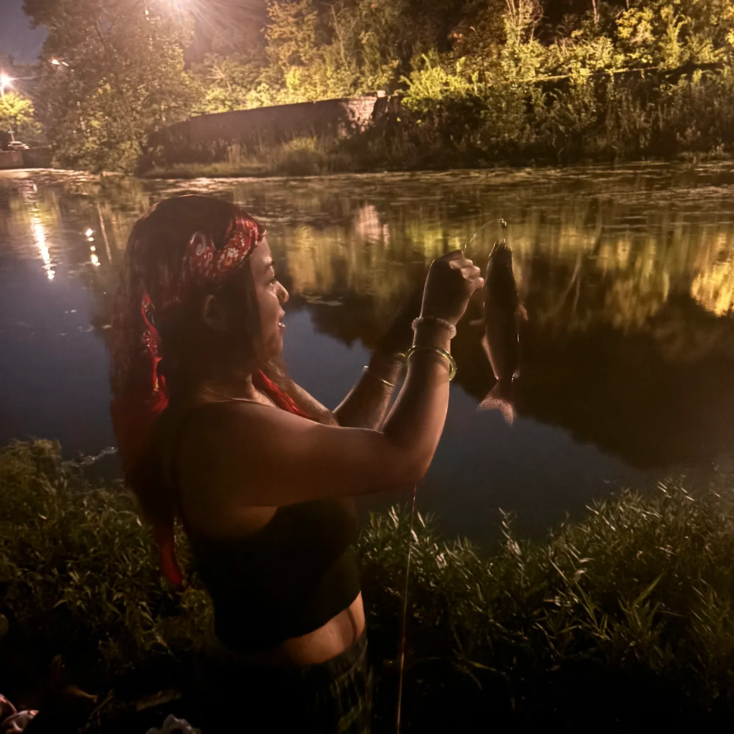 Channel catfish caught on Fishbrain
