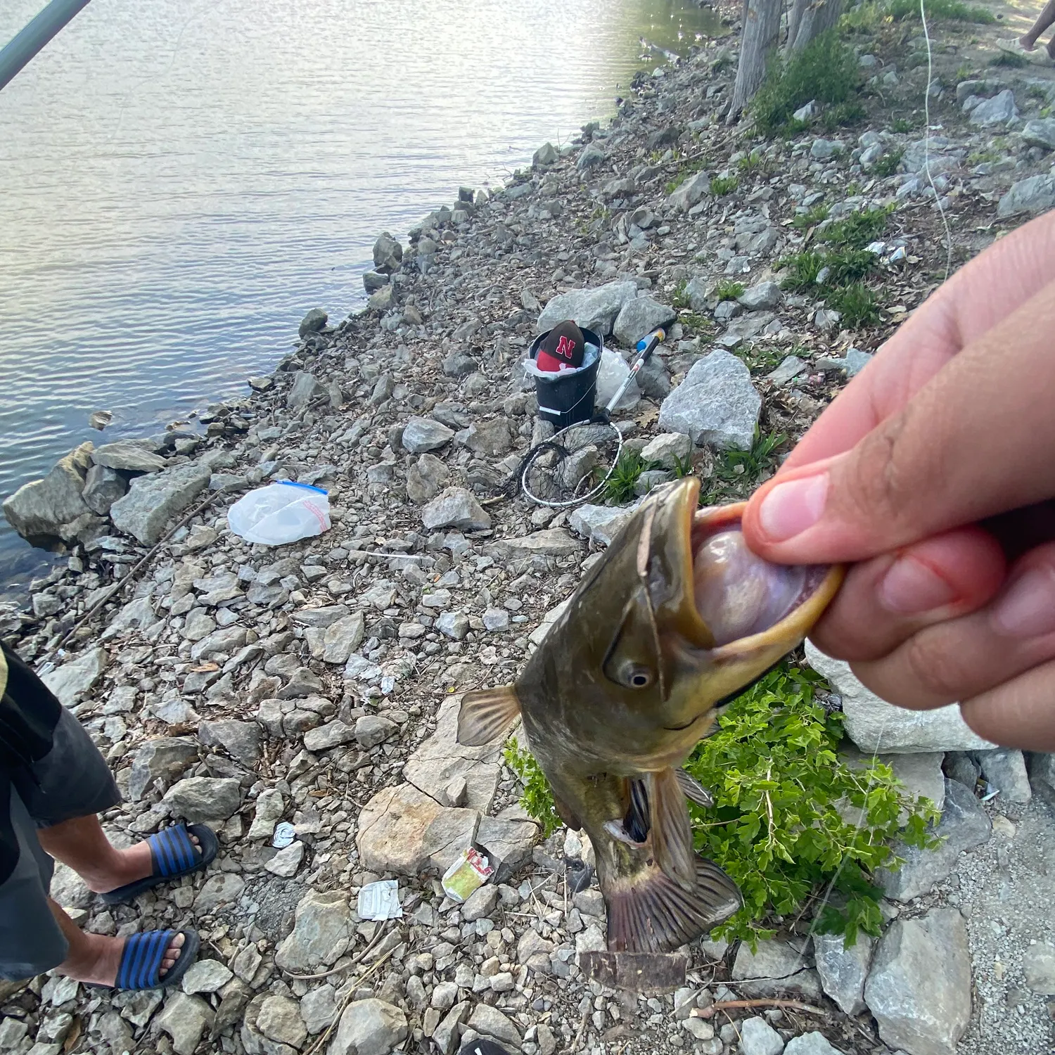 catch