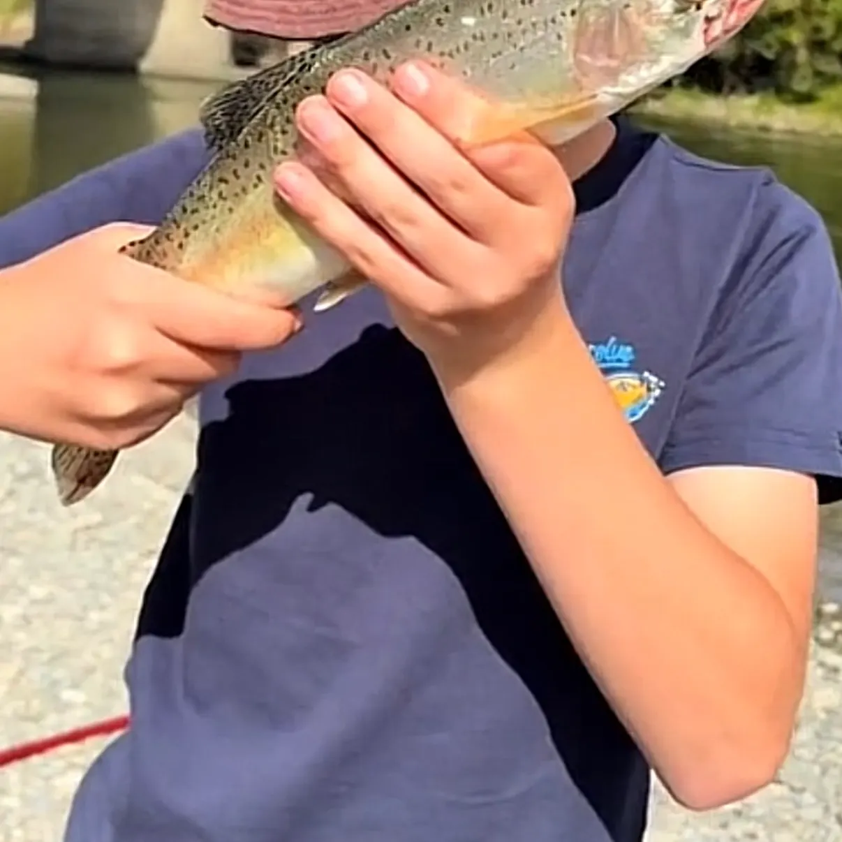 Rainbow trout caught on Fishbrain