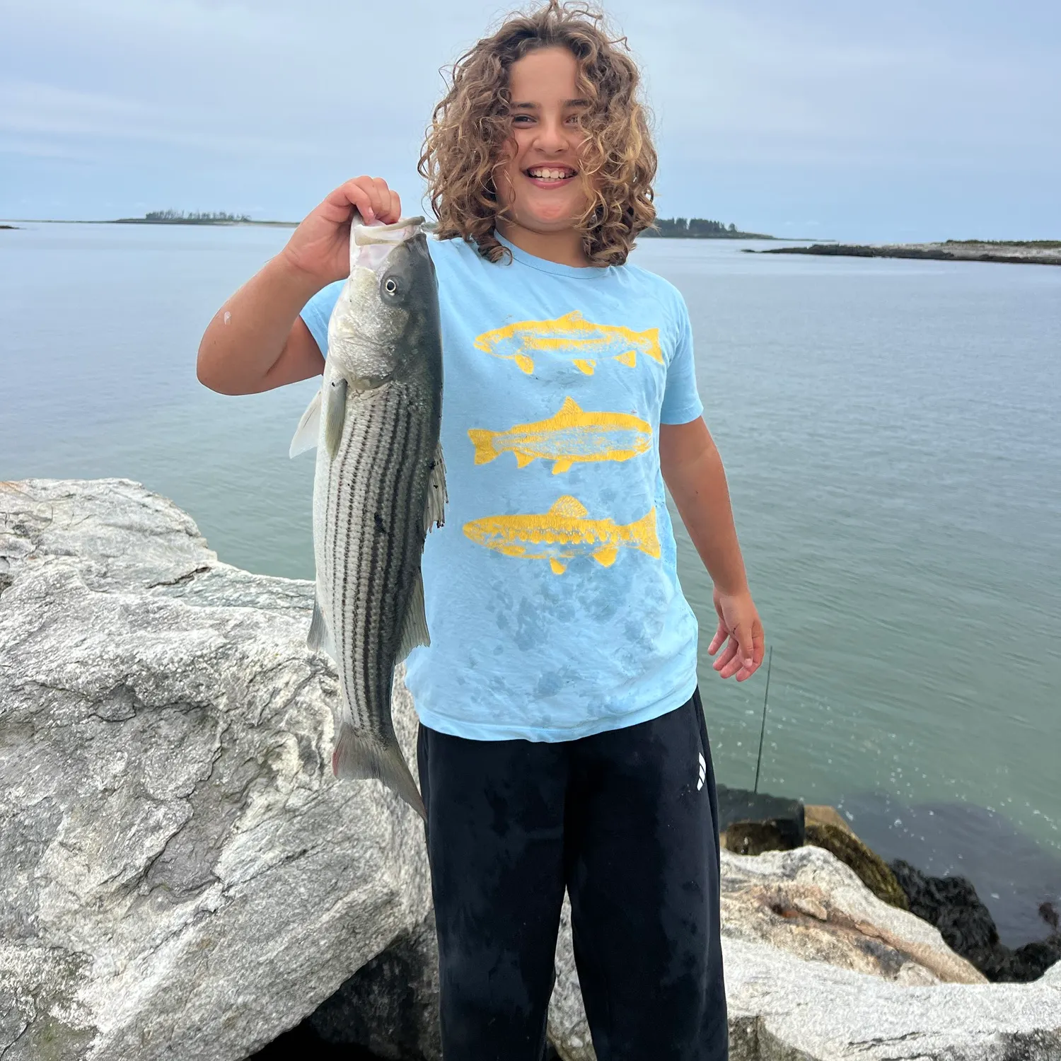 Striped bass caught on Fishbrain