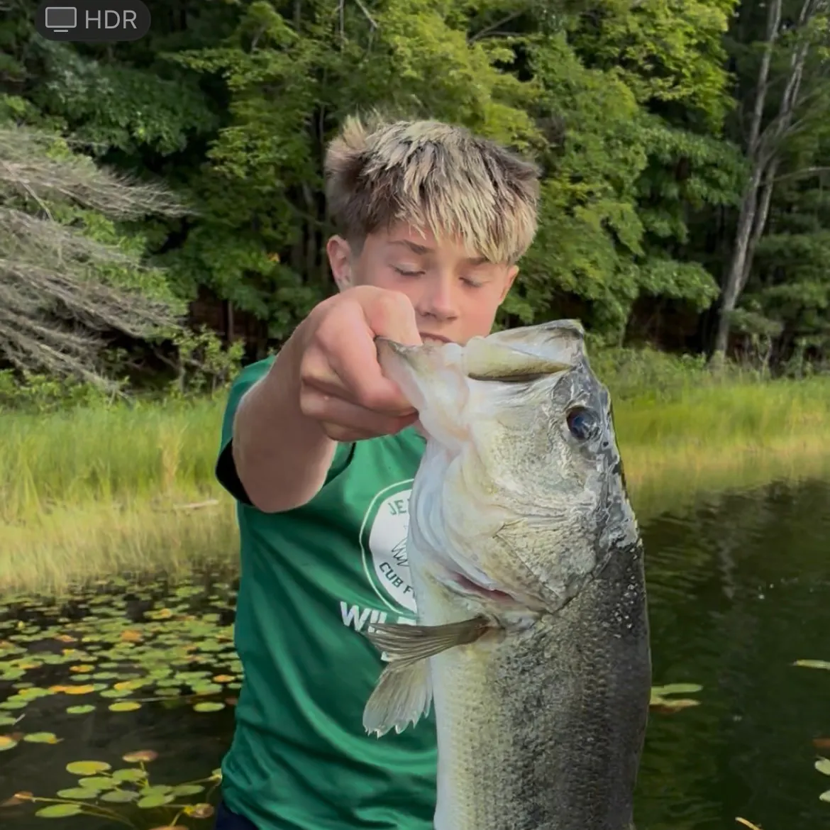 Largemouth bass caught on Fishbrain