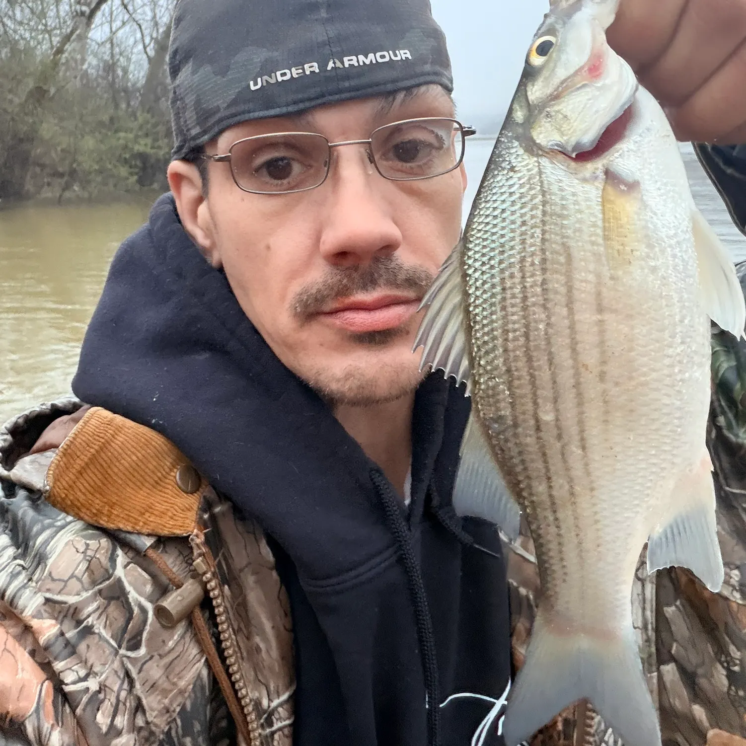 The most recent White bass catches on Fishbrain