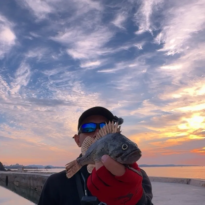 Fish caught on Fishbrain