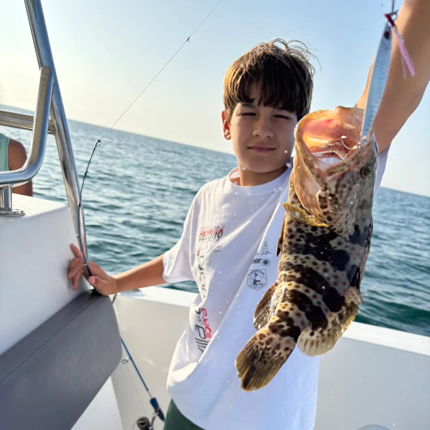 The most recent Greasy grouper catches on Fishbrain