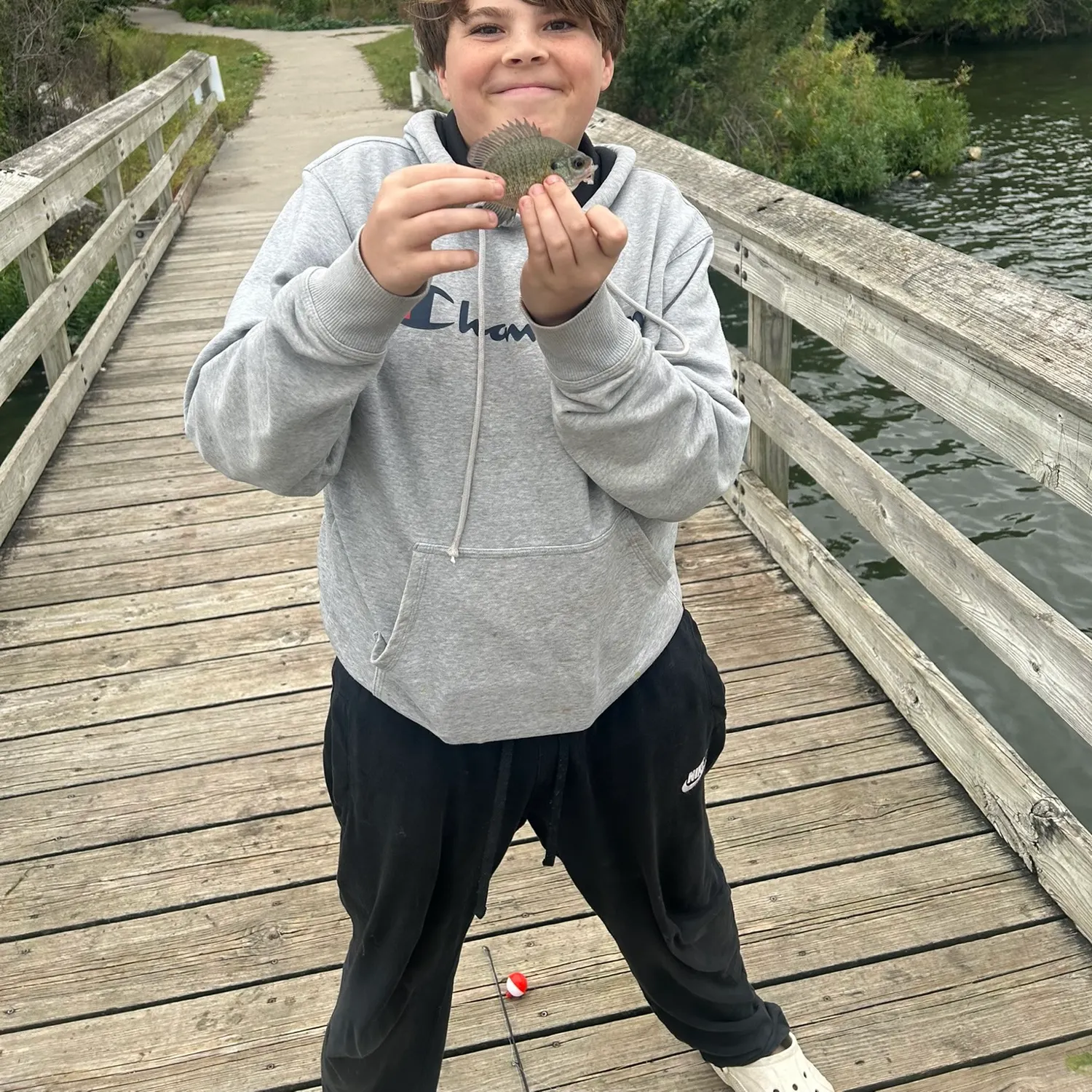 Bluegill caught on Fishbrain